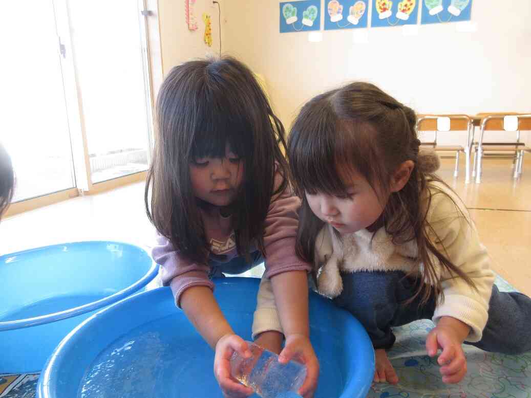 あひる・うさぎ組（1・２歳児）で氷を作りました。