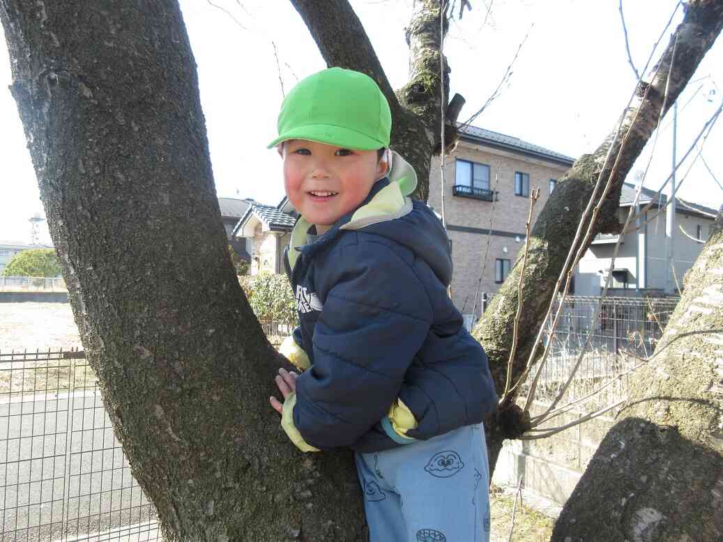 木登りが出来るようになったよ。