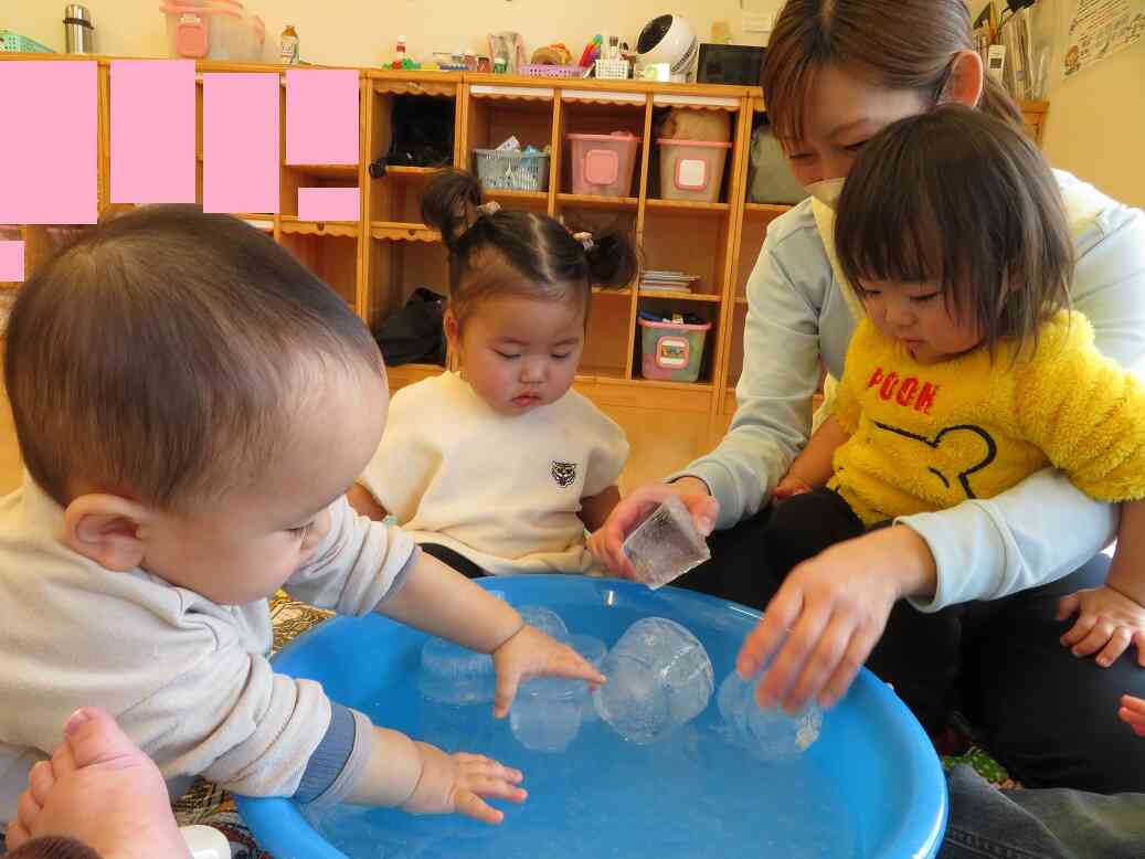 まだまだ、お外は寒い！氷になっていました。