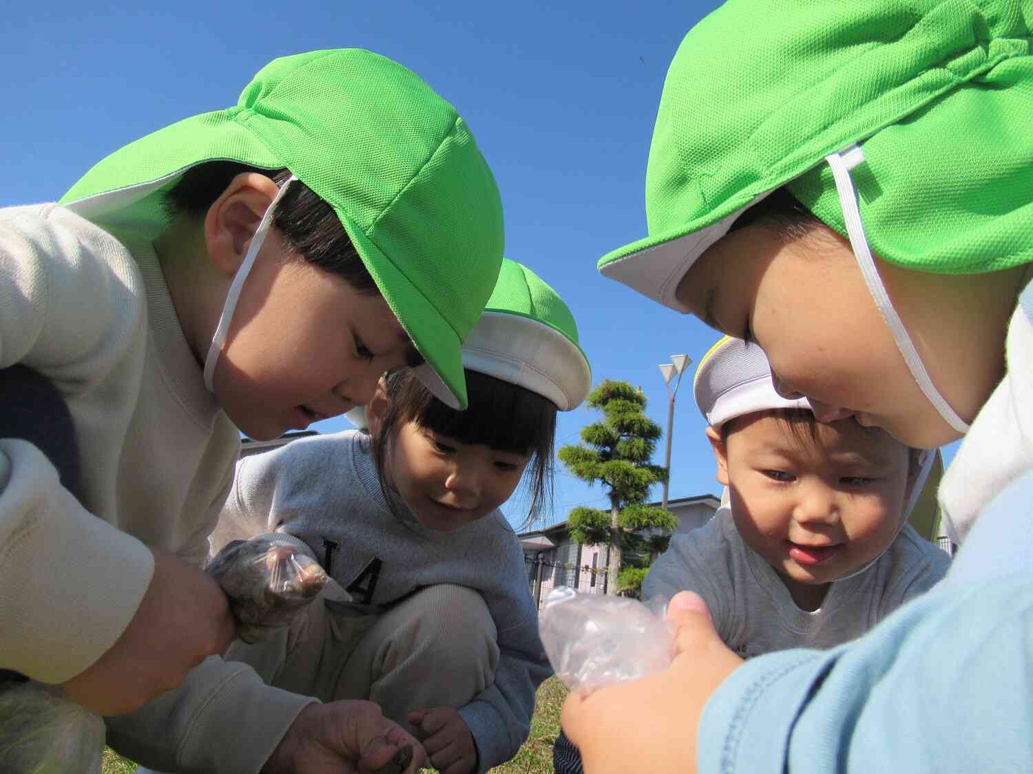 「どんぐり、み～つけた！」