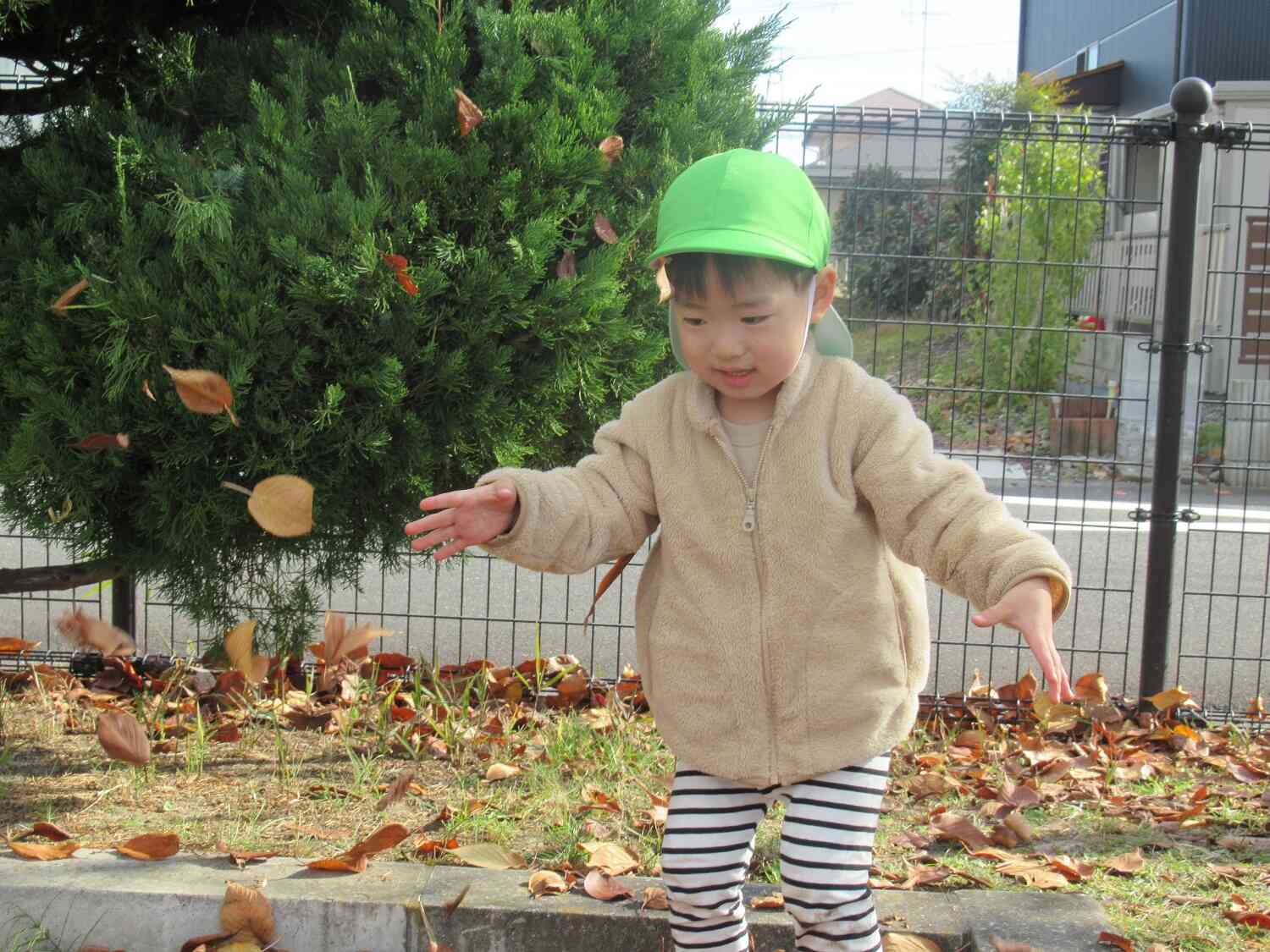 公園での子どもたちの様子☆