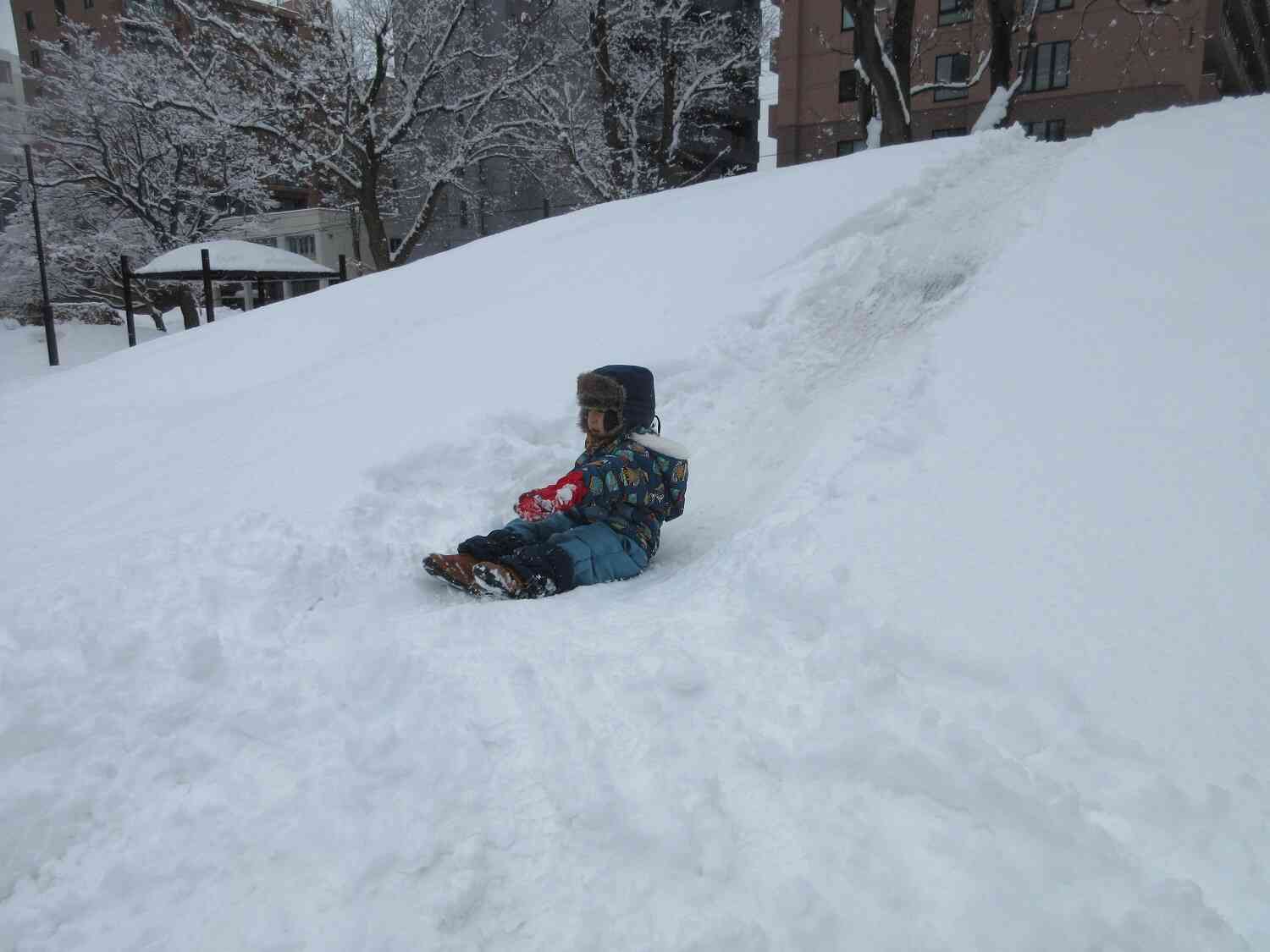 また雪が降りました！