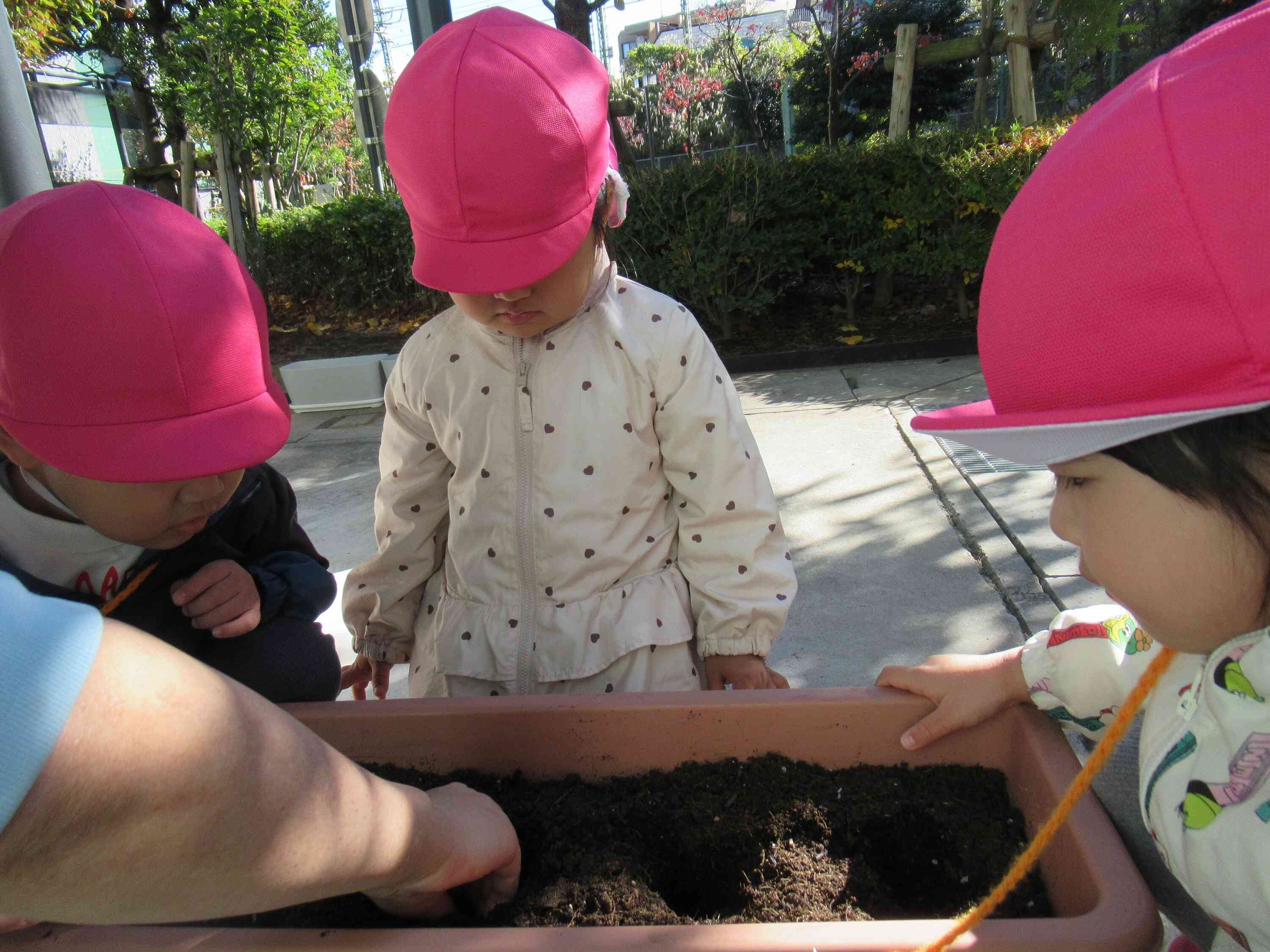 球根を植える寝床作り！