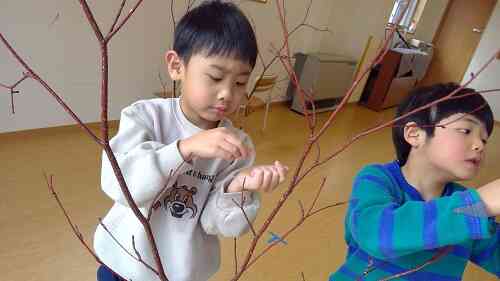 木の芽かきをして、準備もしたよ！