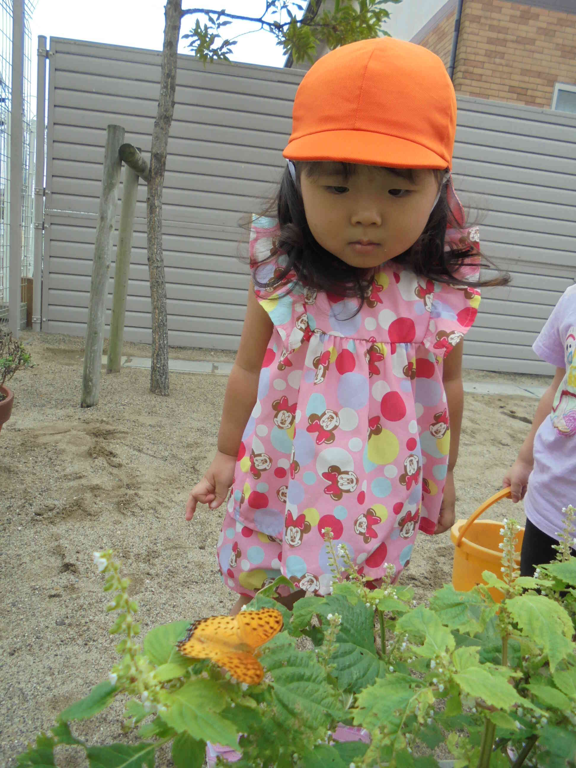 秋の園庭~2歳児うさぎ組・9月~