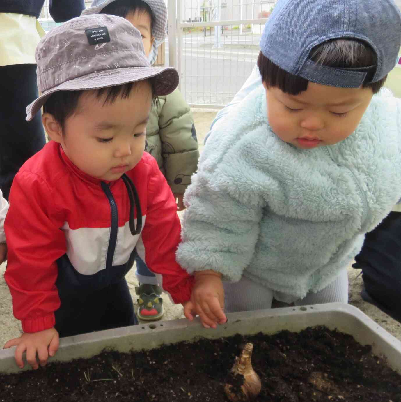 お花が咲くの楽しみだね！