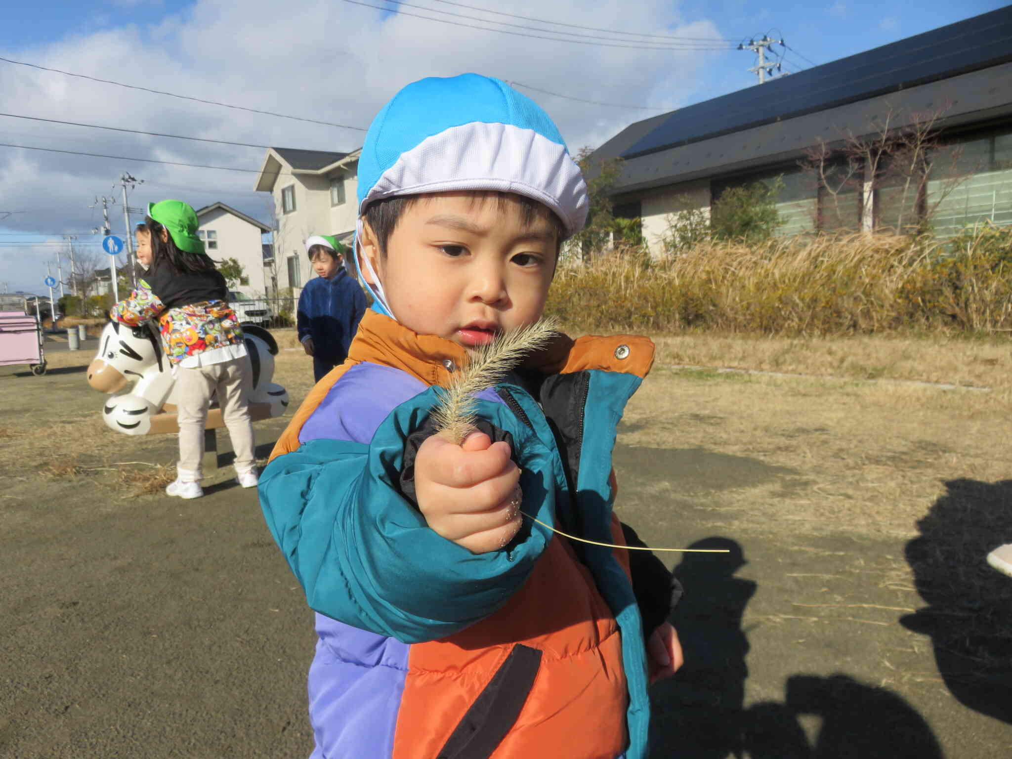 公園で見つけたよ！