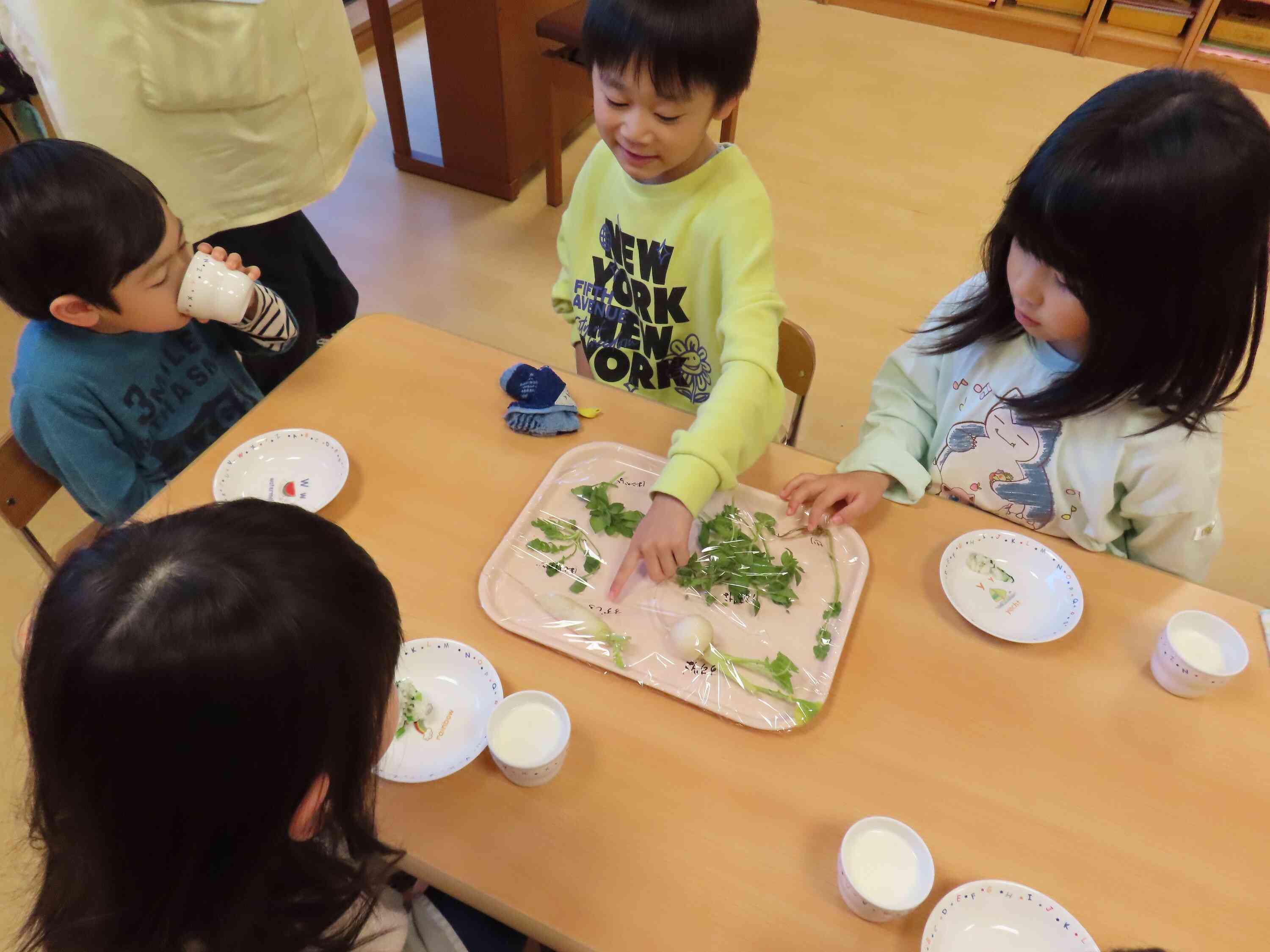 食育活動「春の七草」（3歳以上児クラス）