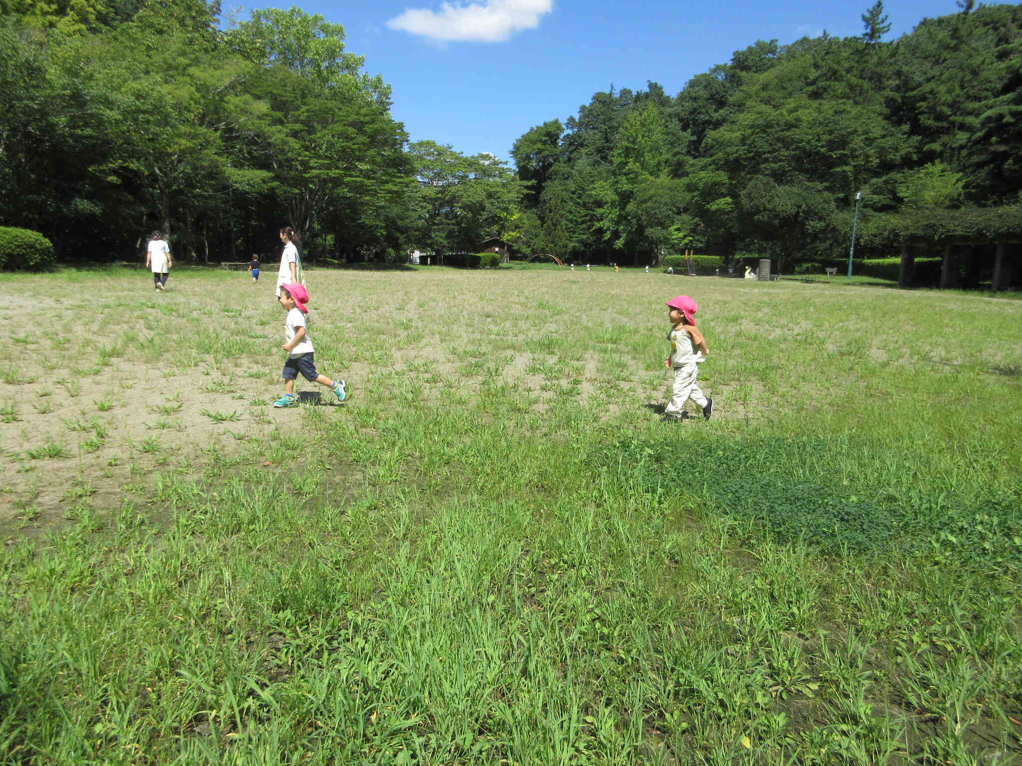 久しぶりに森林公園に遊びに行ってきました