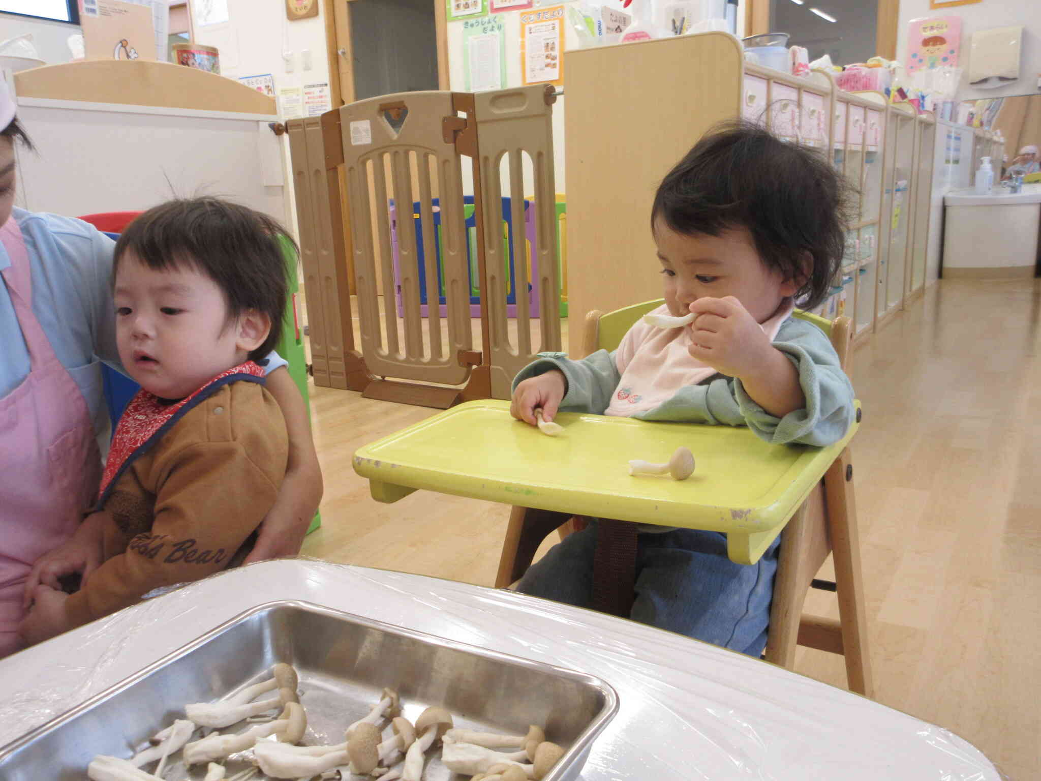 0歳児ひよこ組もきのこに興味津々です。