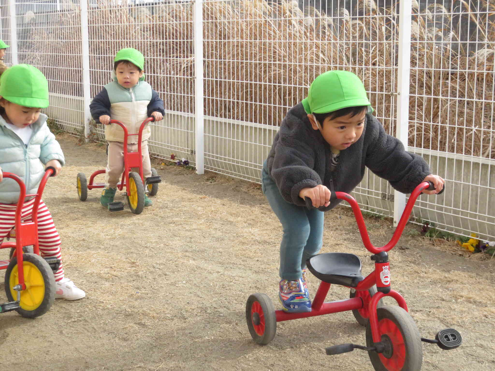 三輪車が大人気！