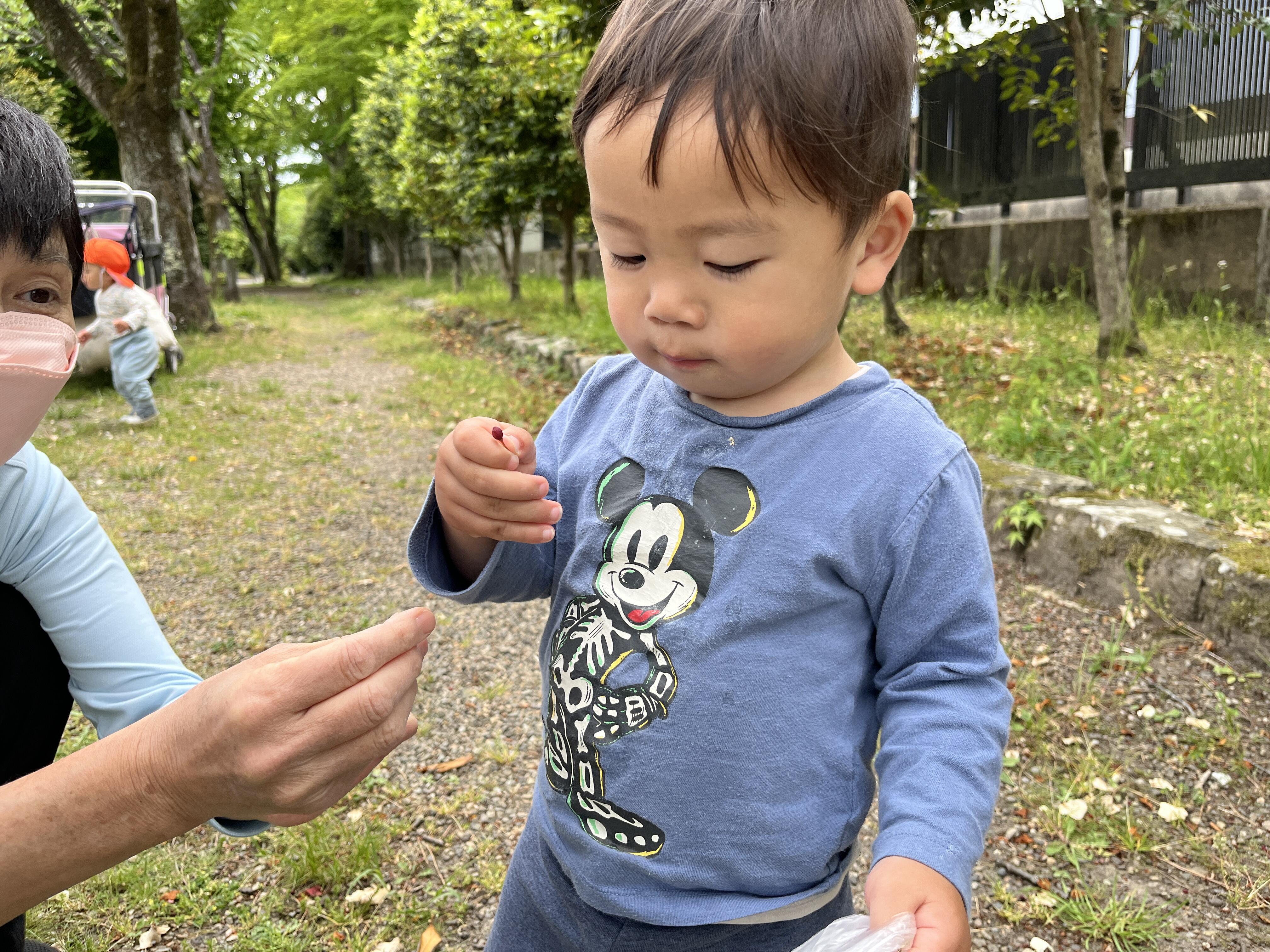 見つけた!!