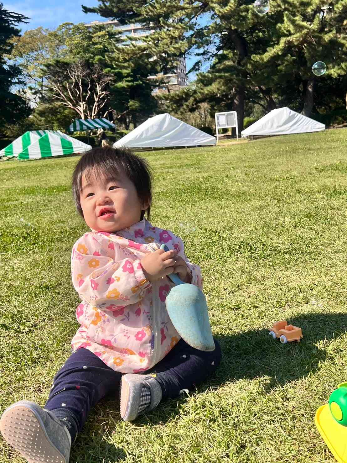 榴ヶ岡公園の芝生広場