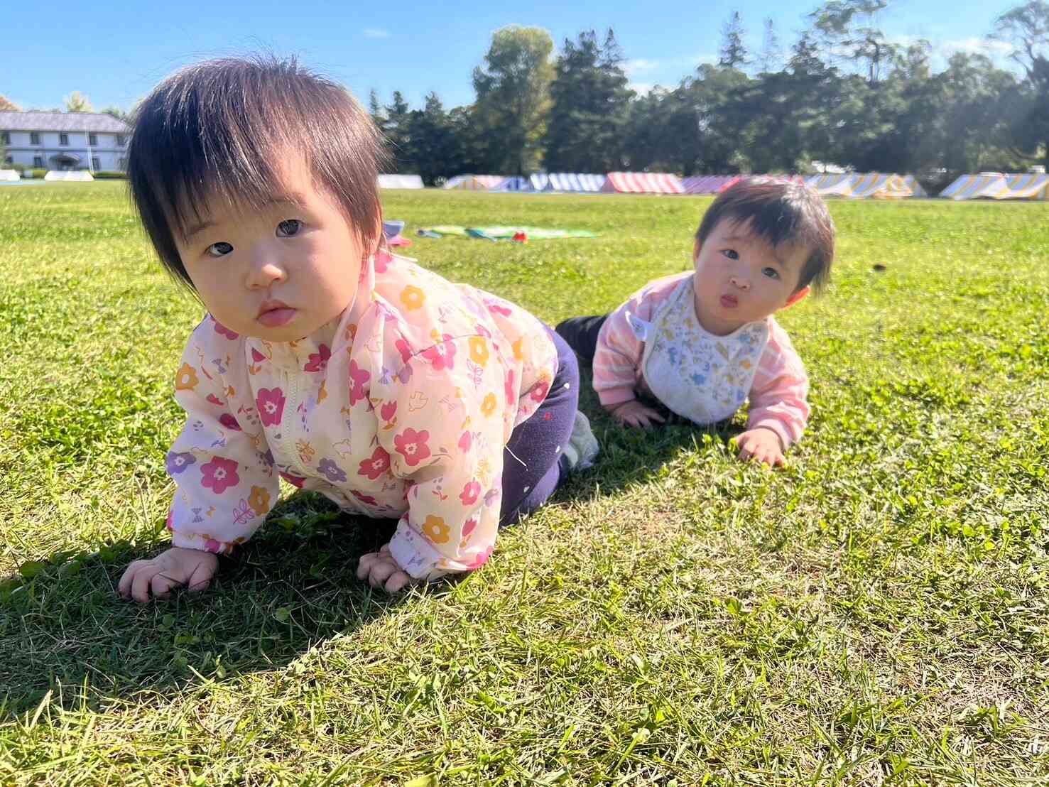 戸外活動　芝生広場（0歳児ｸﾗｽ）