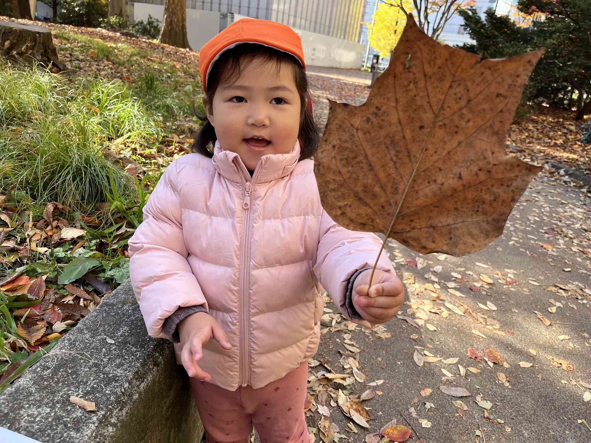 五橋公園で大きな落ち葉をみつけました