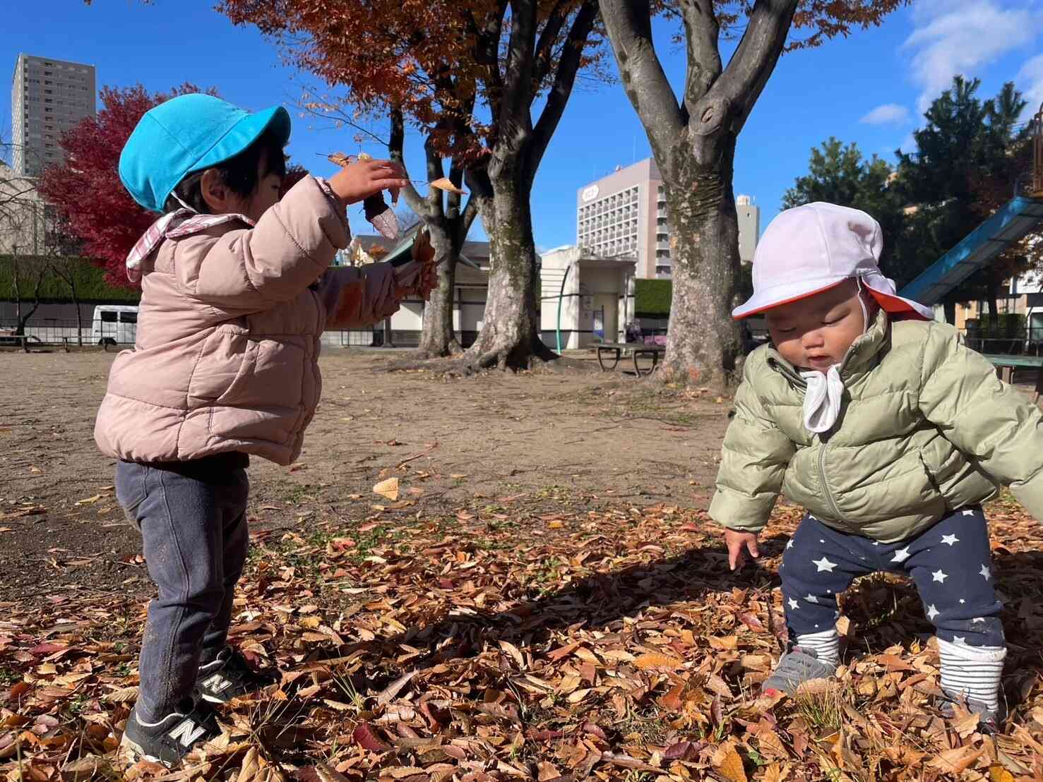 落ち葉をつかんで降らせています。