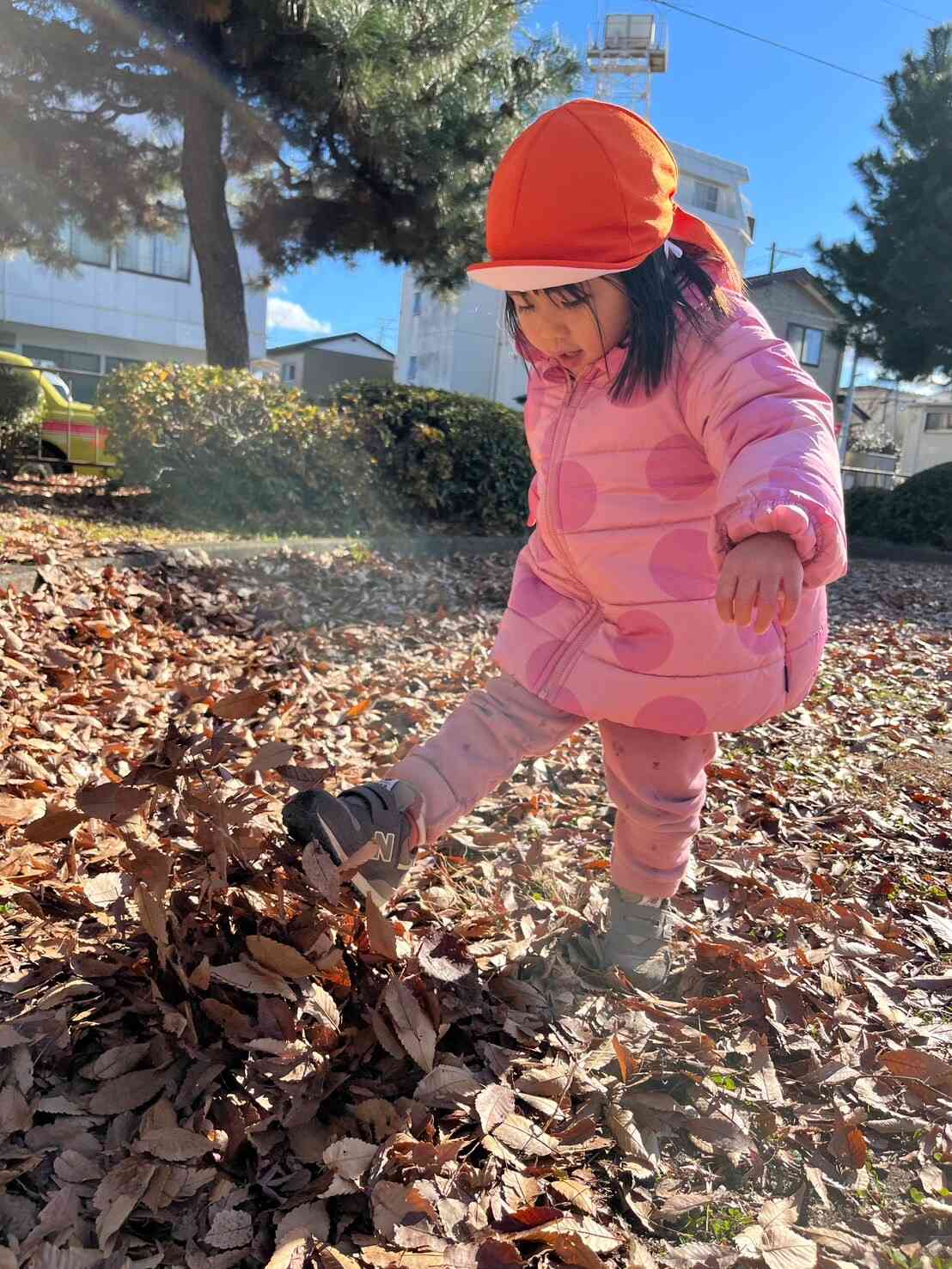 1歳児クラスのお友だち　枯葉をガサガサさせるのが楽しいです。