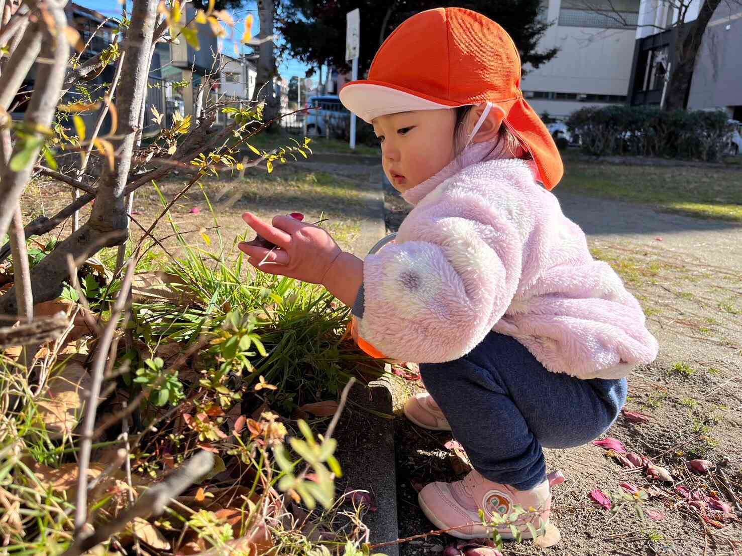 1歳児クラスのお友だち　葉っぱや木の実拾いが大好きです。