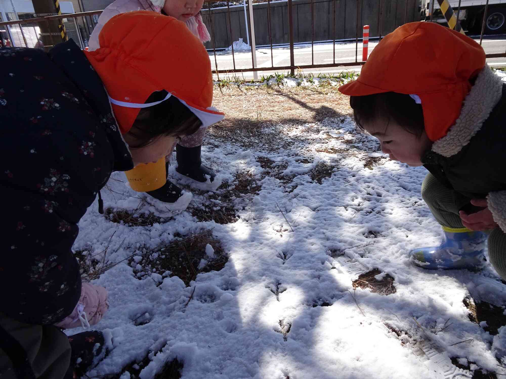 雪遊びしました