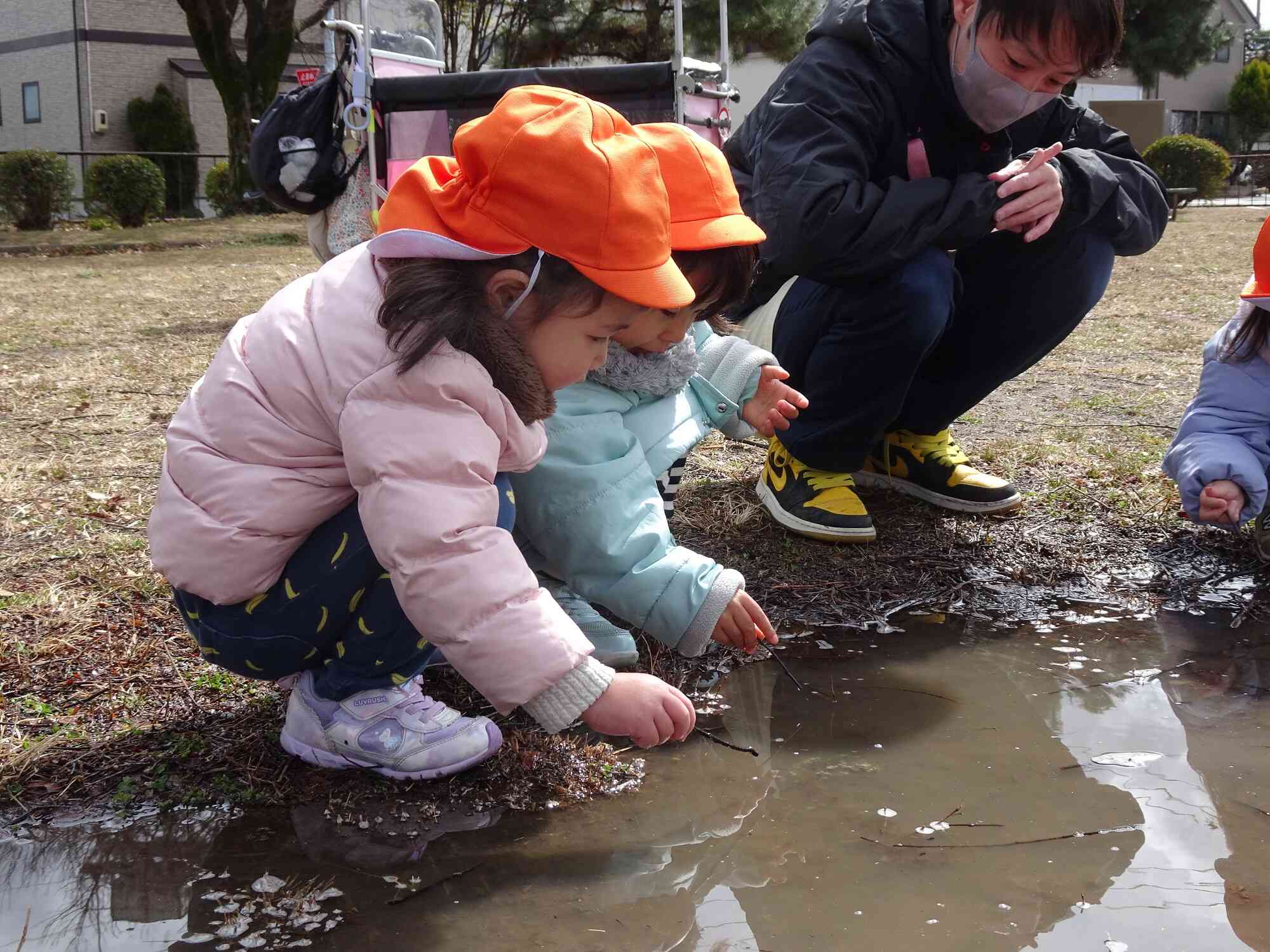 雨上がりの水たまり