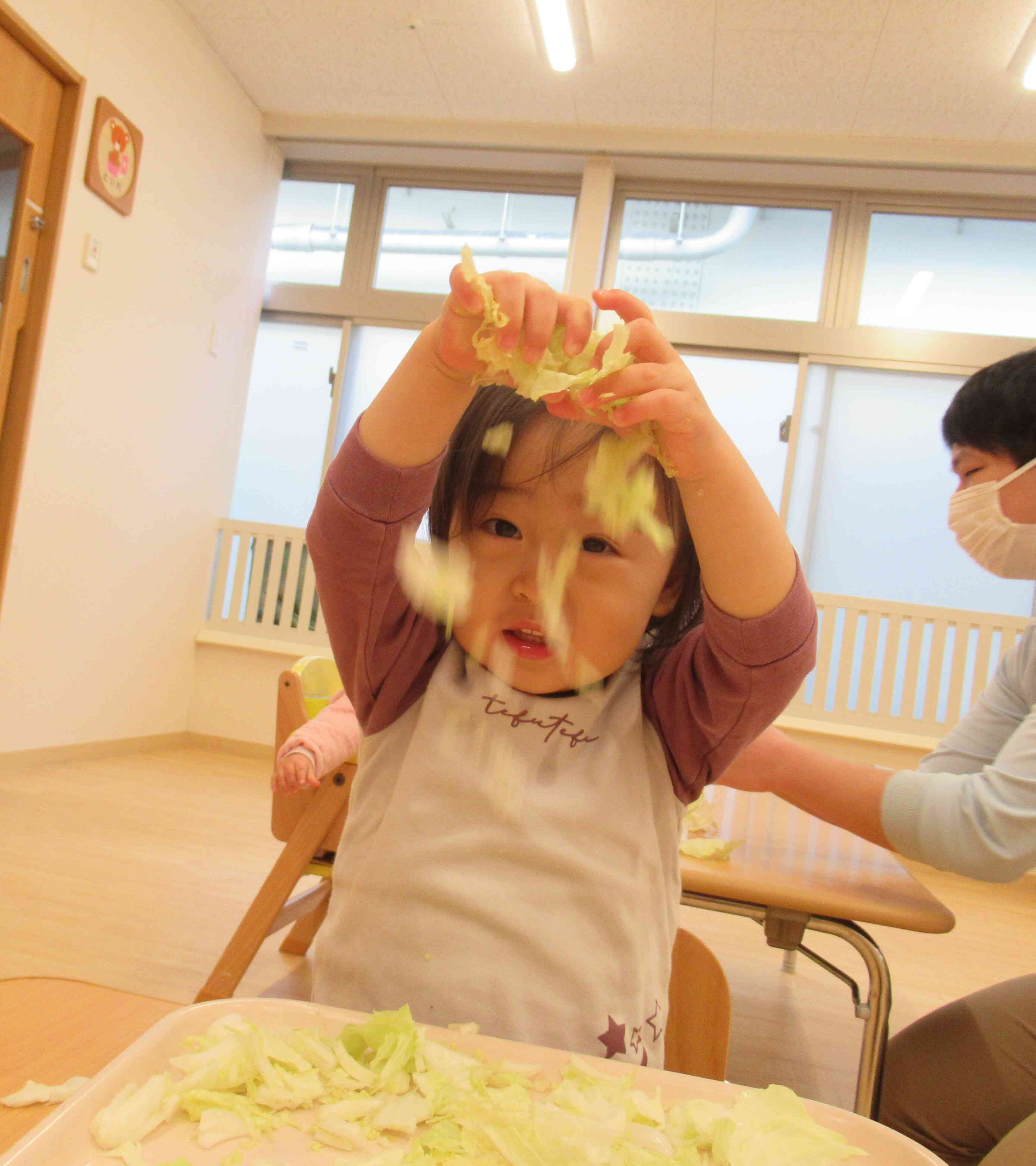 食育キャベツ、白菜ちぎり　ひよこ組、あひる組（0、1歳児）