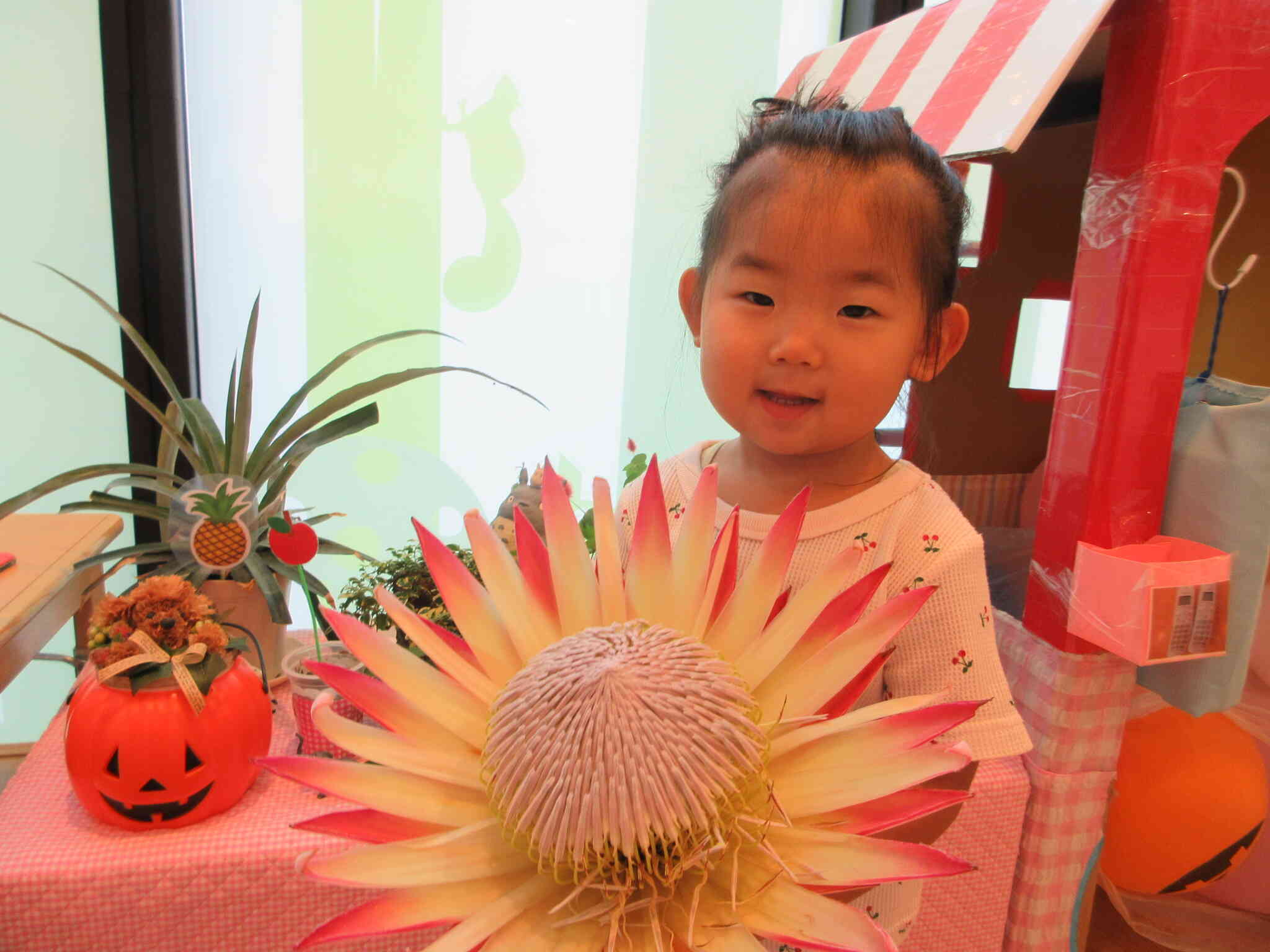 みらい組（2歳児、１歳児高月齢）花育