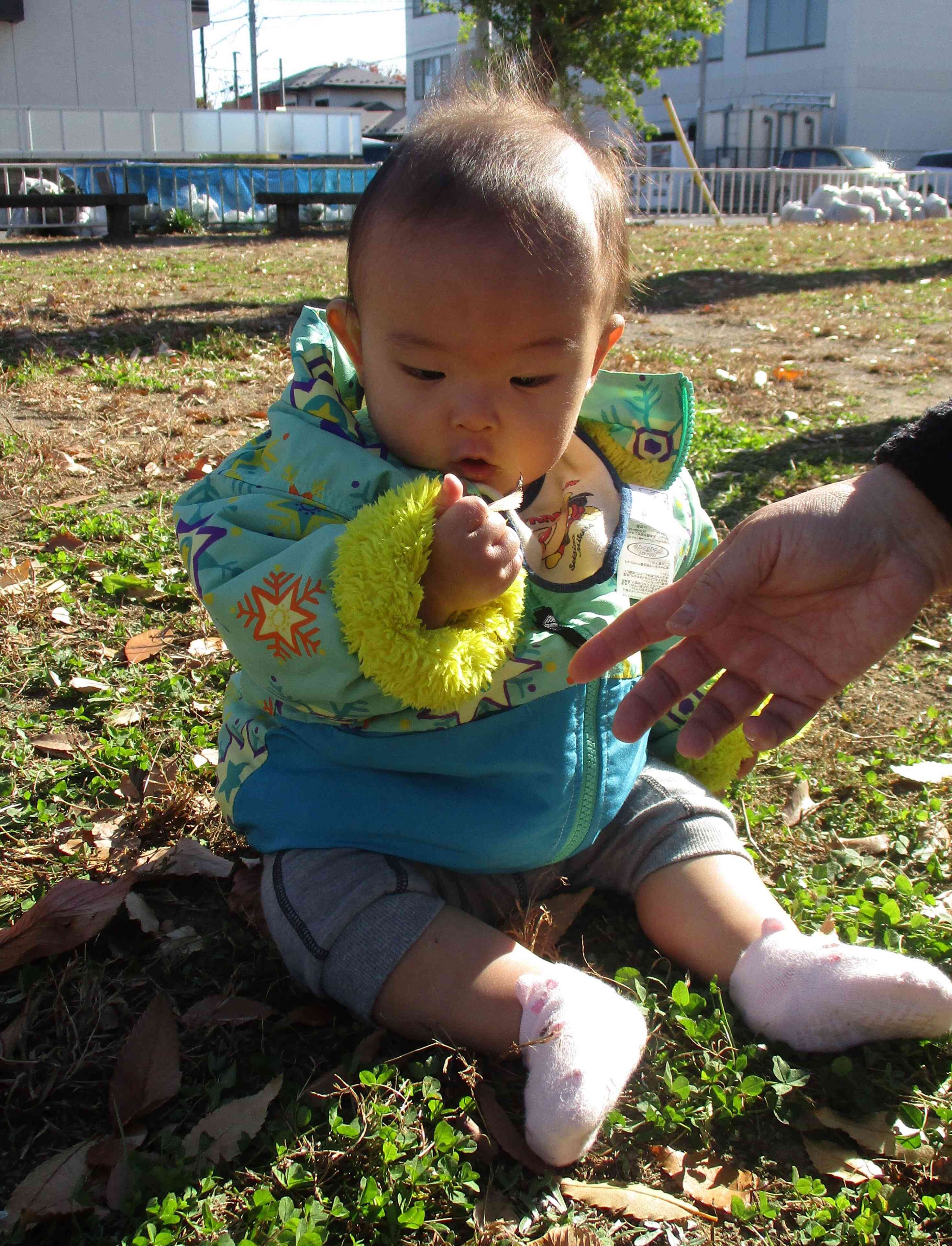 葉っぱの感触に興味津々！