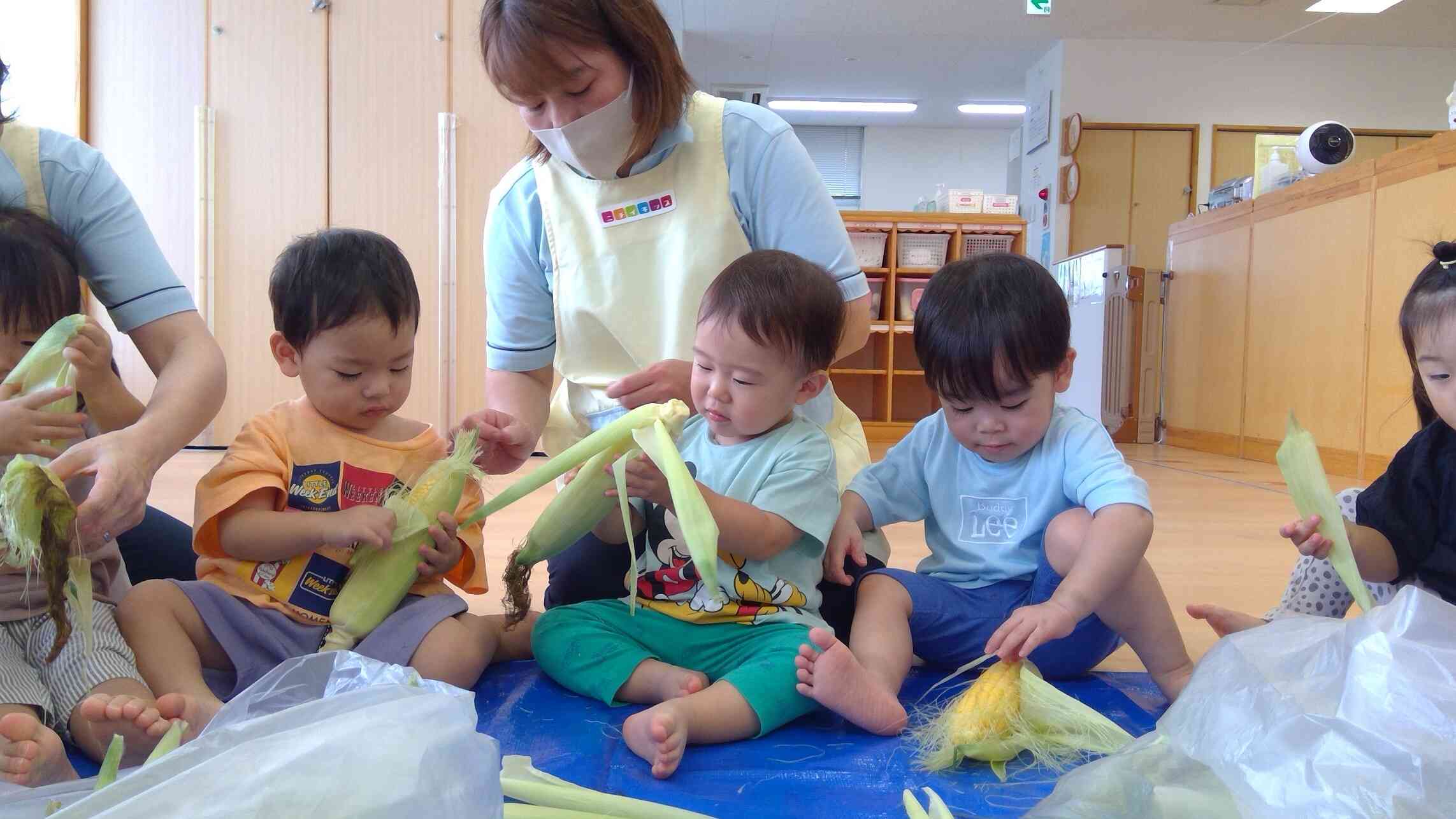 食育【トウモロコシ】