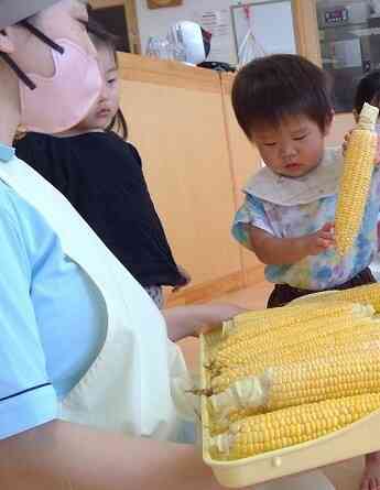 食育（トウモロコシの皮むき」