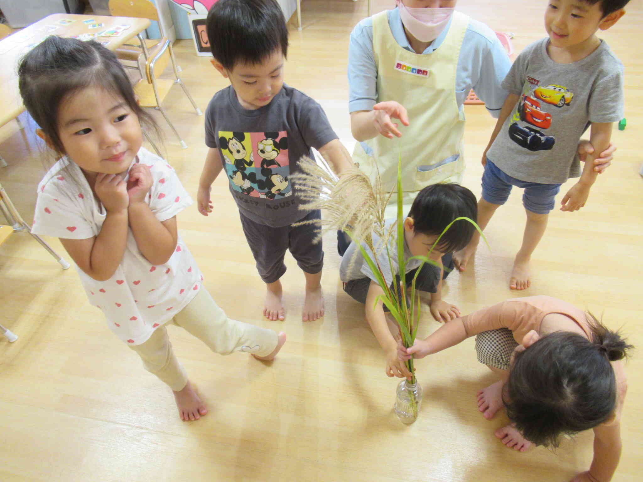 今日は「お月見」