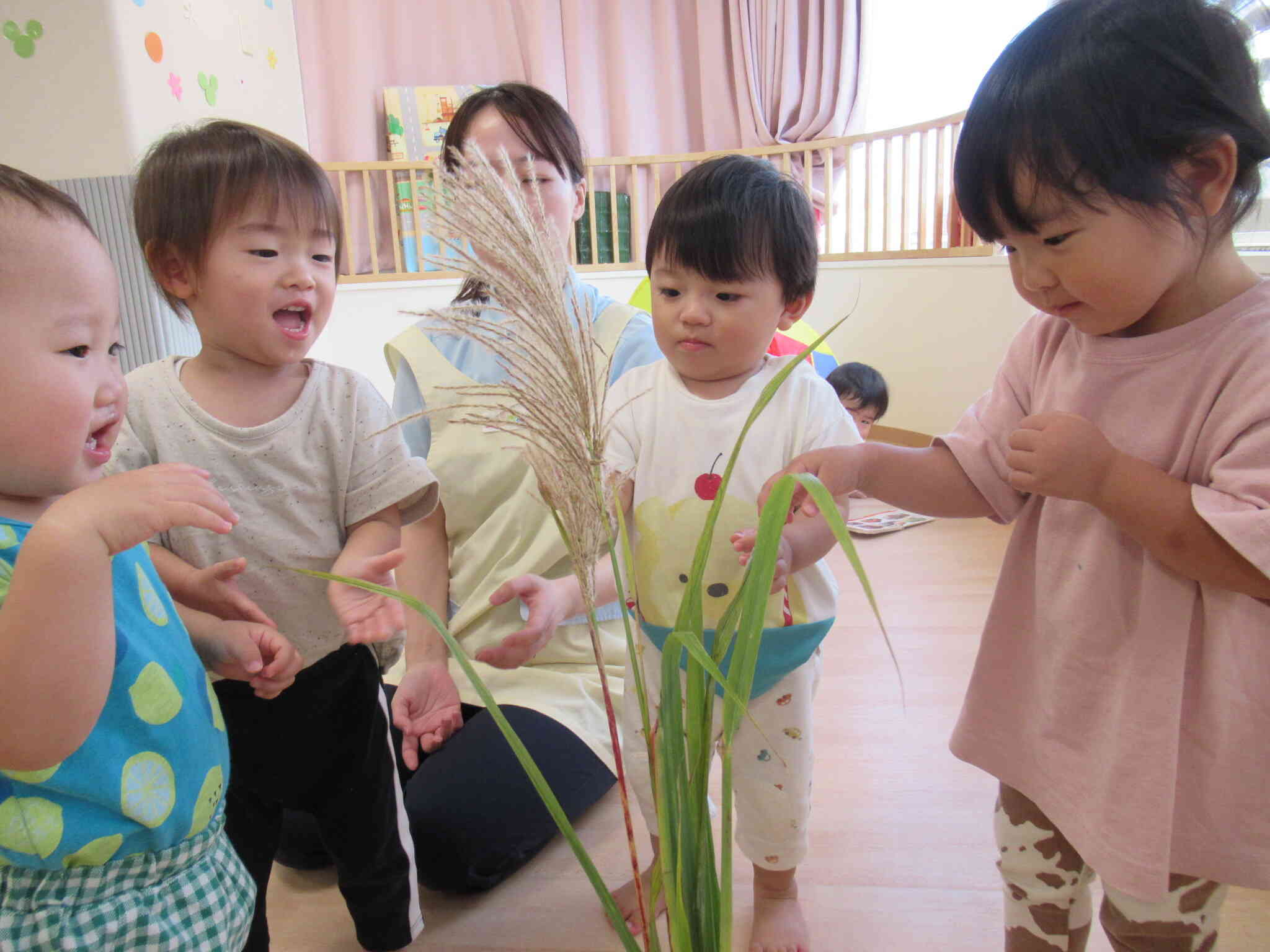 「ススキ」って気持ちいいい