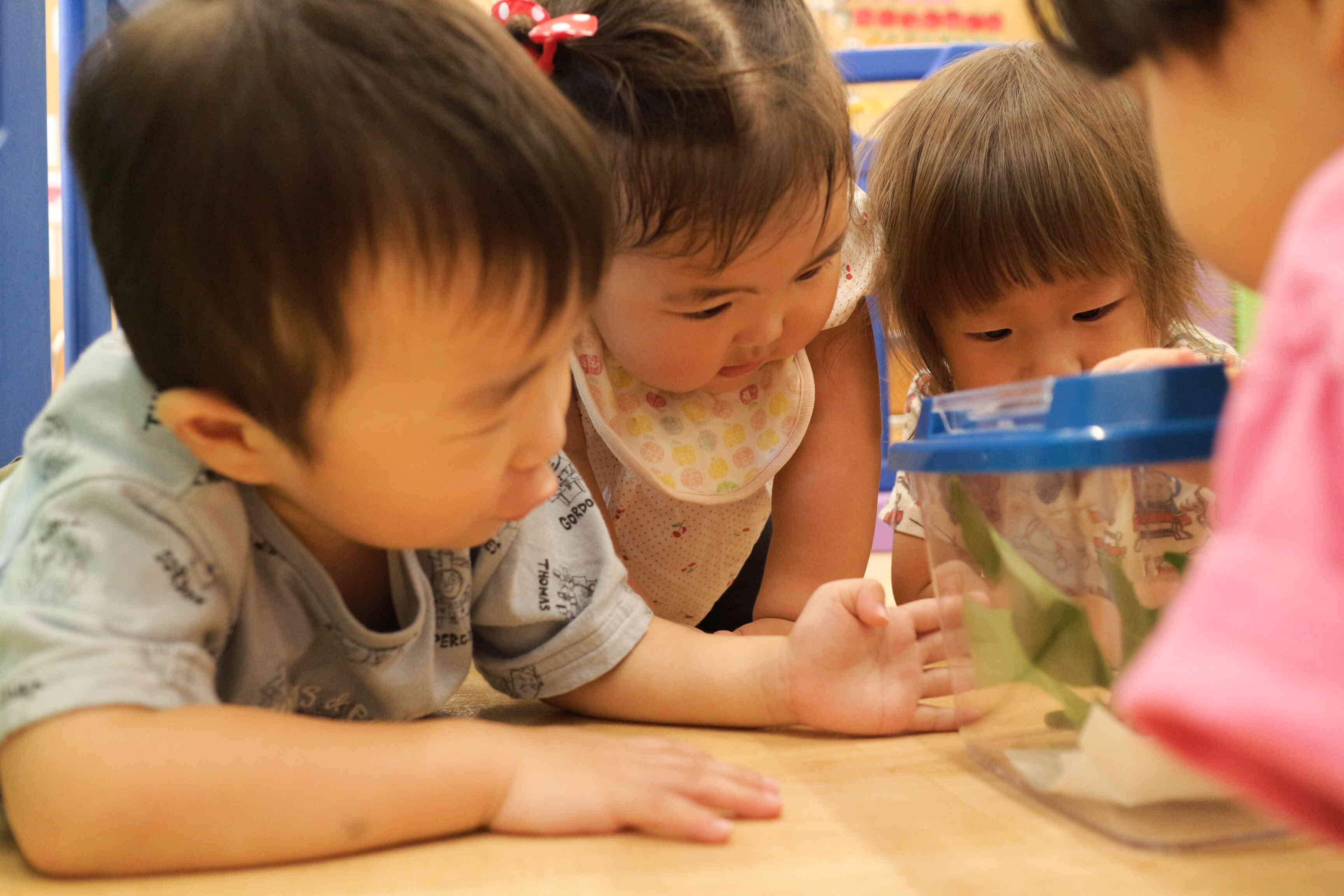 観察に勤しむ子ども達です。