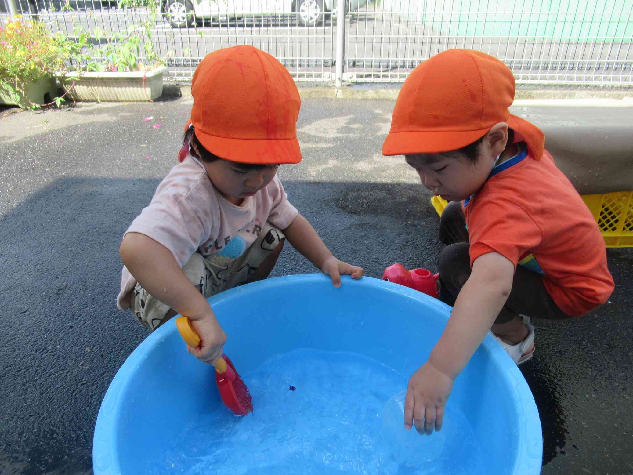 お水が冷たくて気持ちいいね！