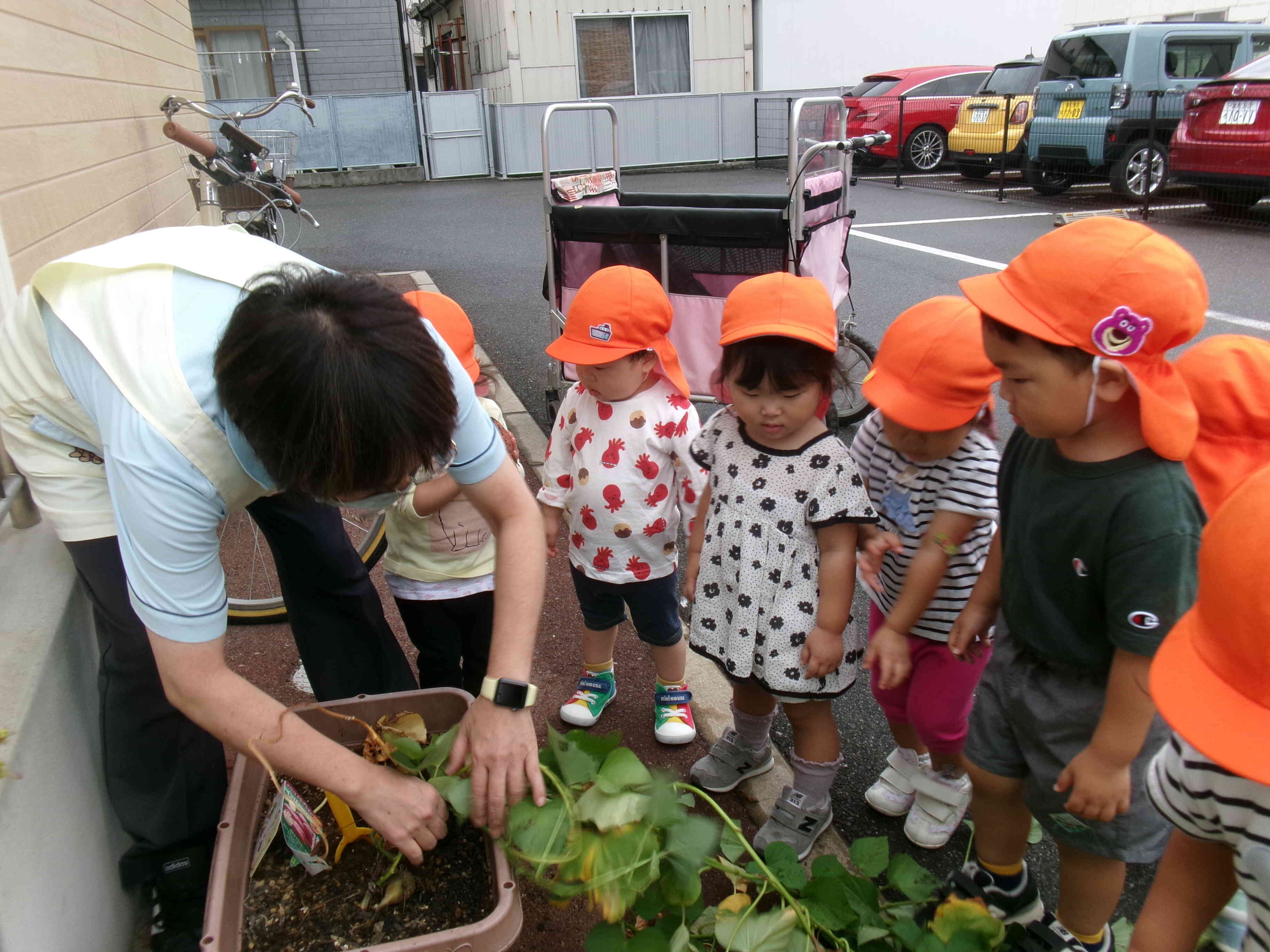 うんとこしょ、どっこいしょ！