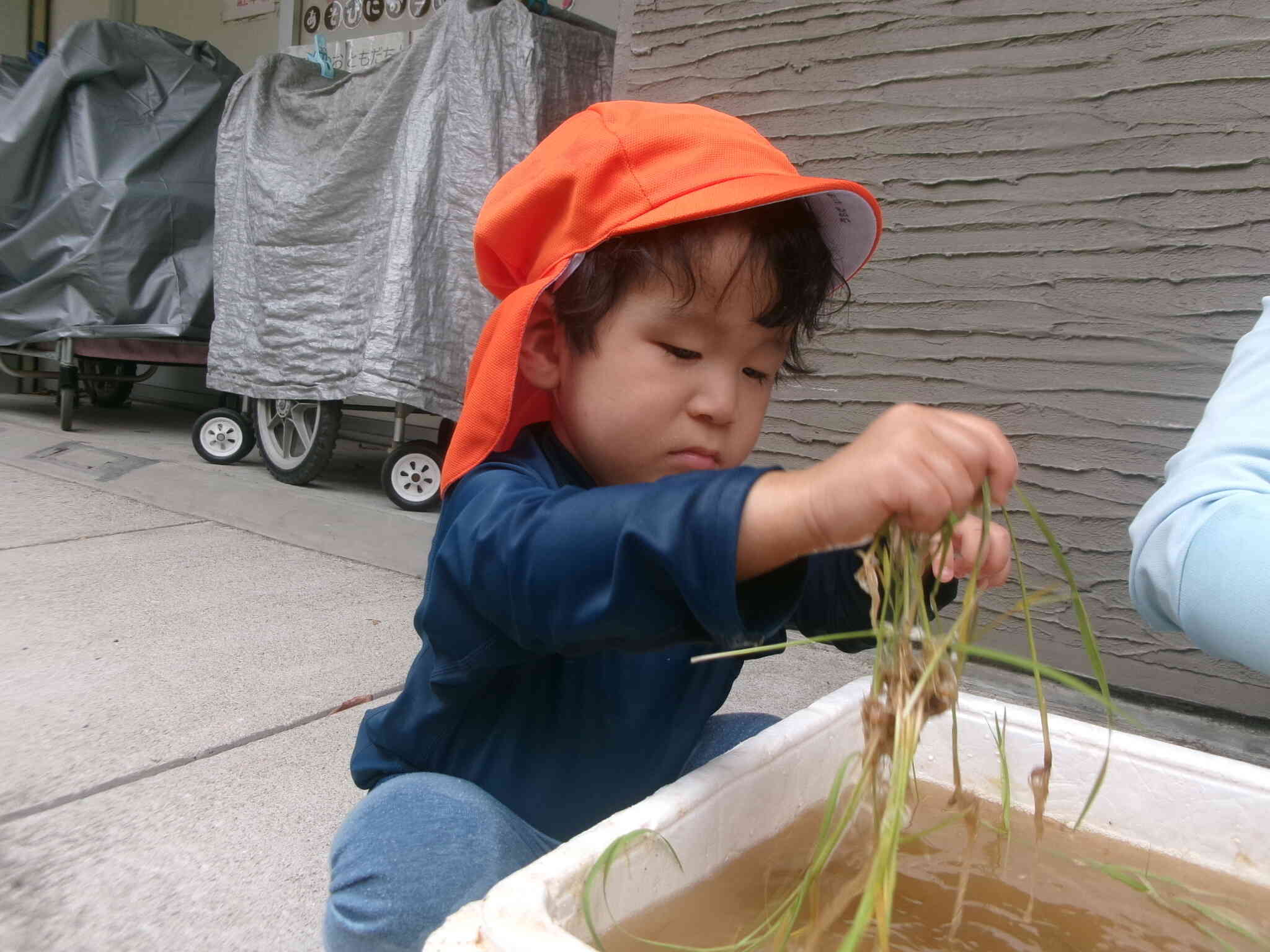 どこに植える？この辺がいいかなぁ～。