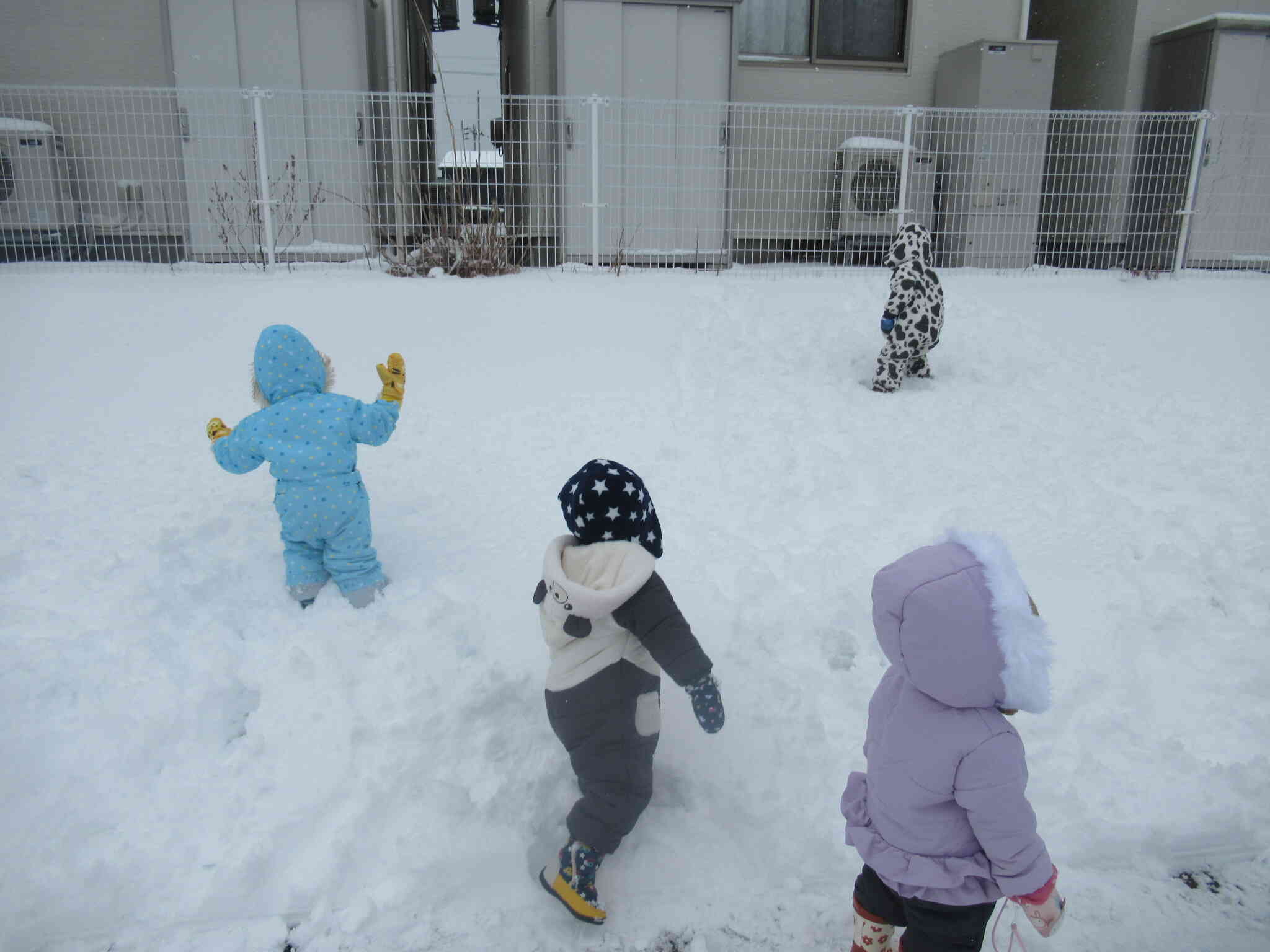 あひる組雪遊び