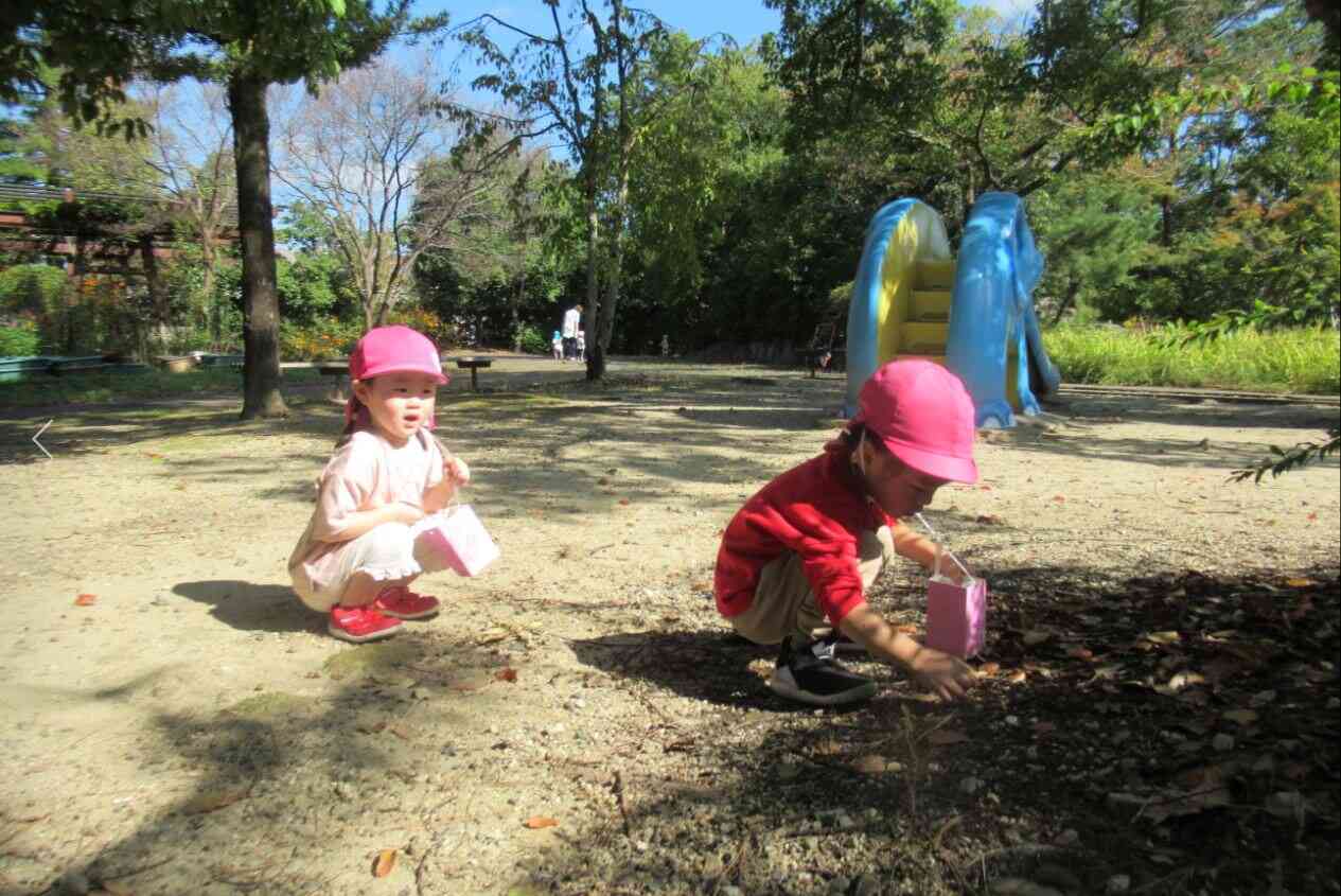 「木の実、み～っけ！！」