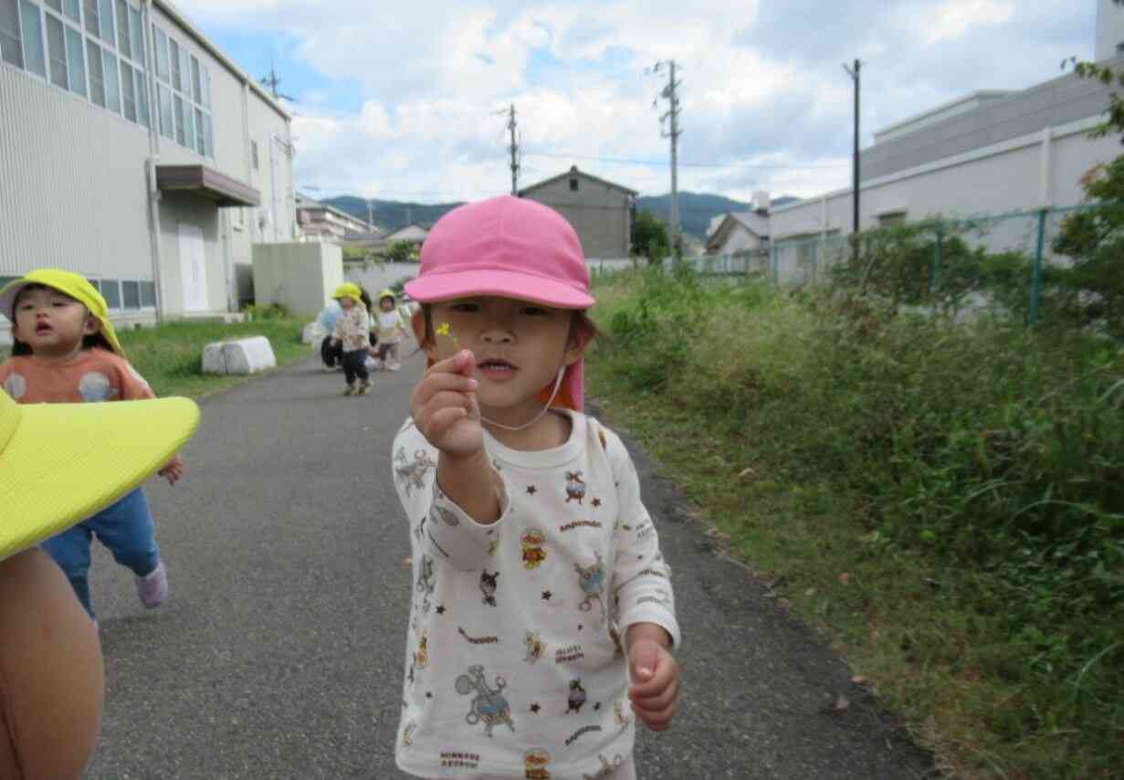 可愛いお花見つけたよ☆