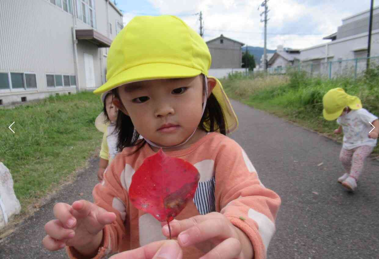 落ち葉が紅葉しているね！！