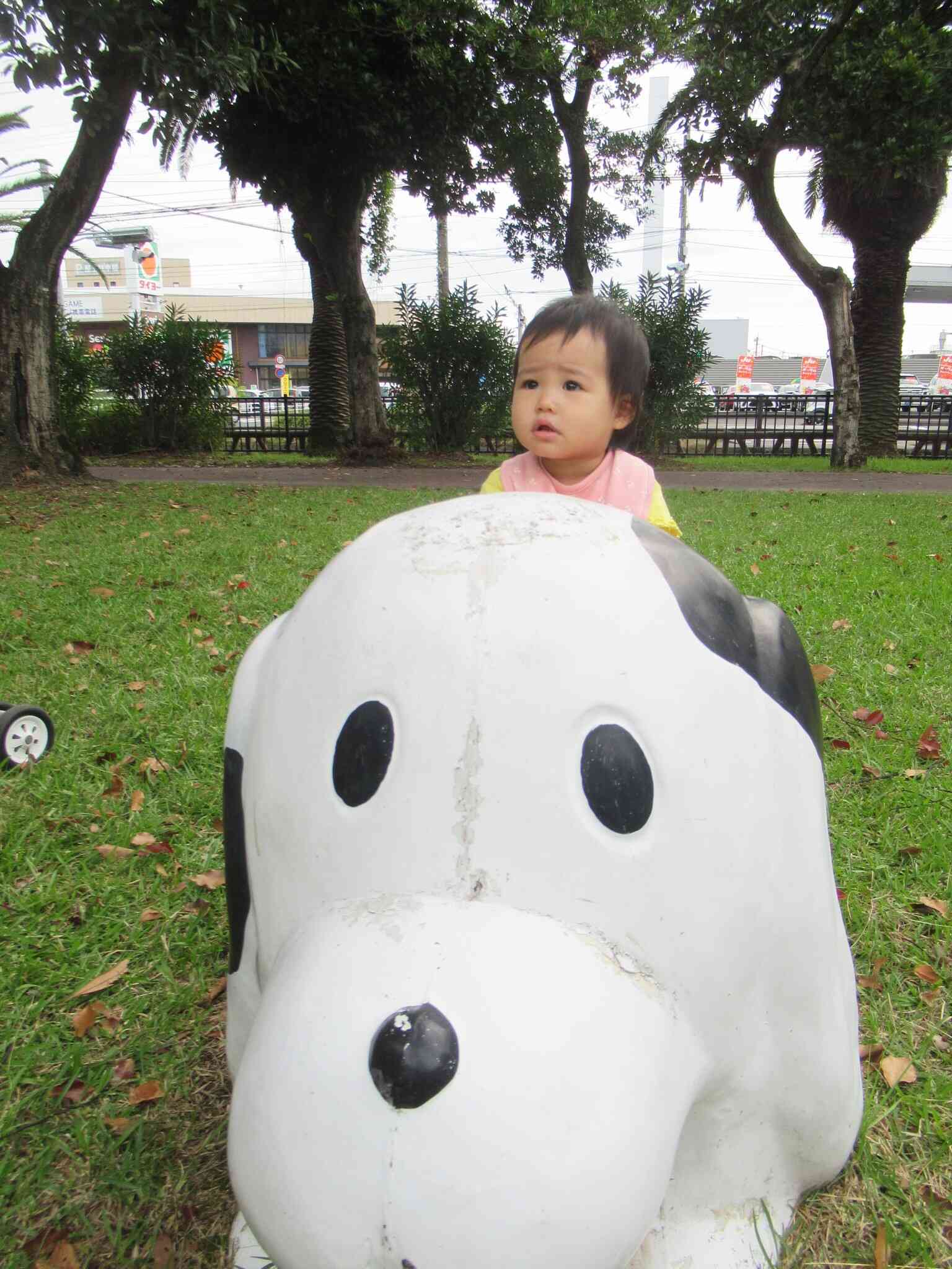 公園には色々な動物さんがいるね♬