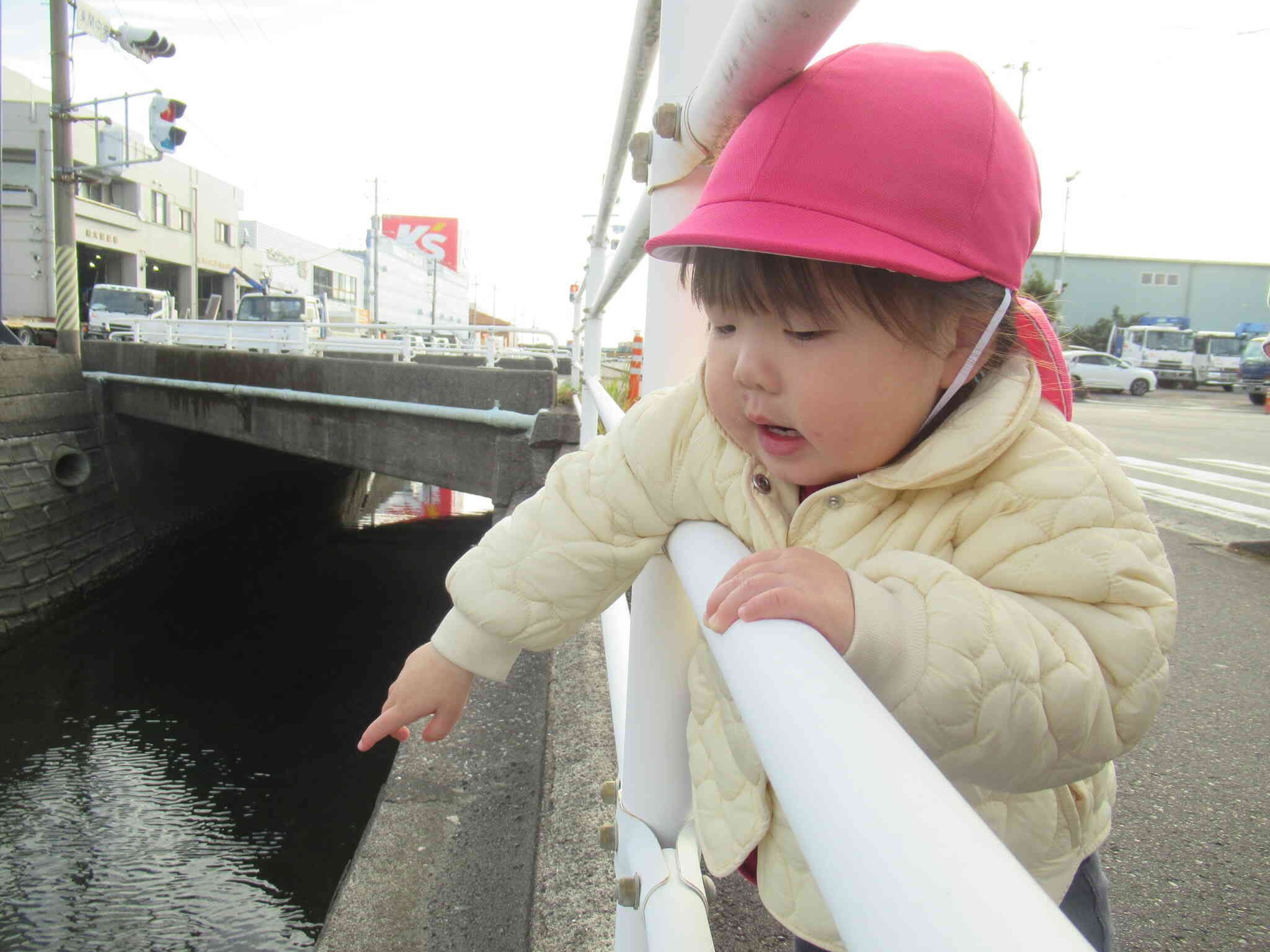 みて！おさかな、みつけたよ！