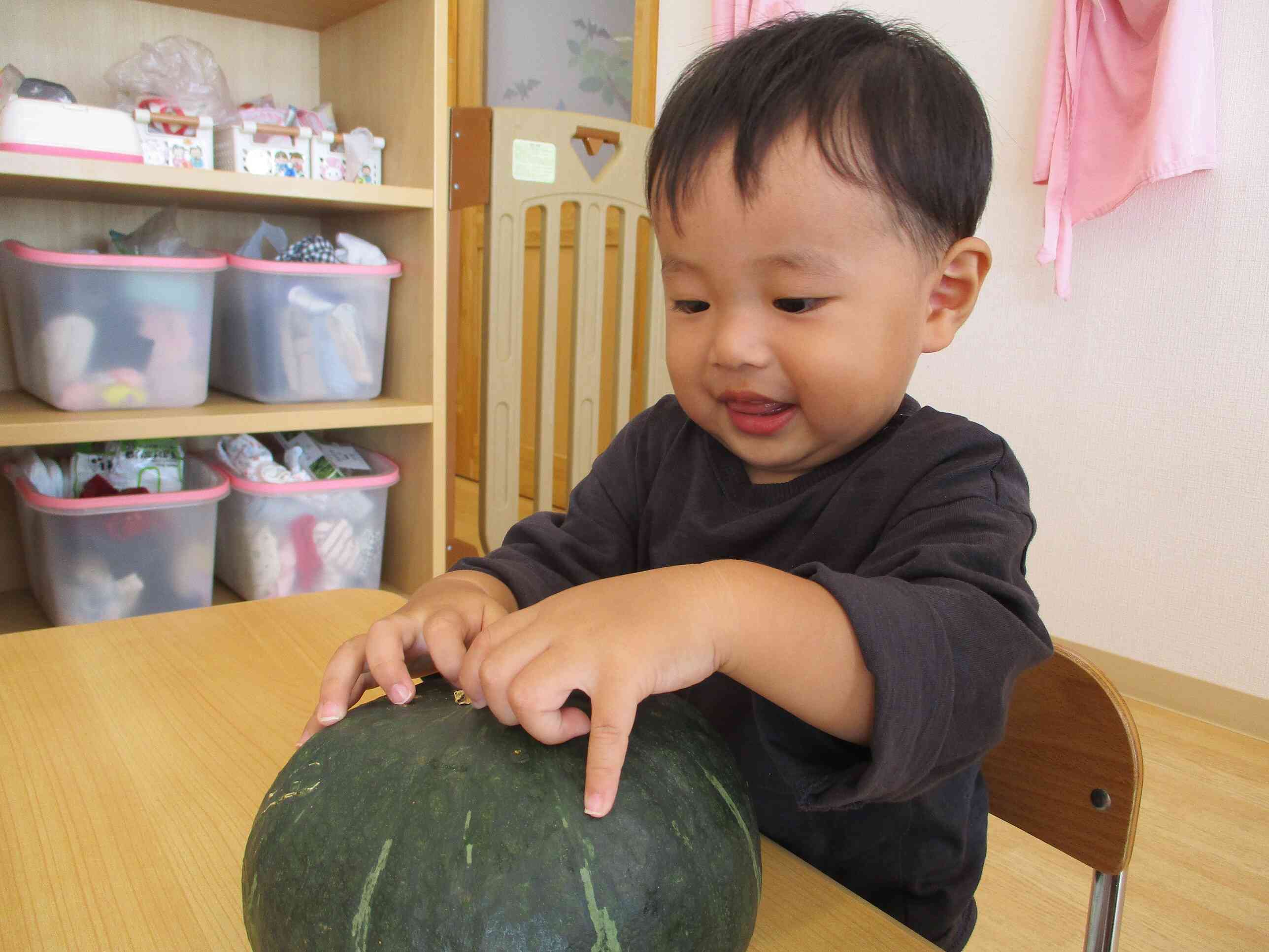 ひよこ組(０歳児クラス）の日常