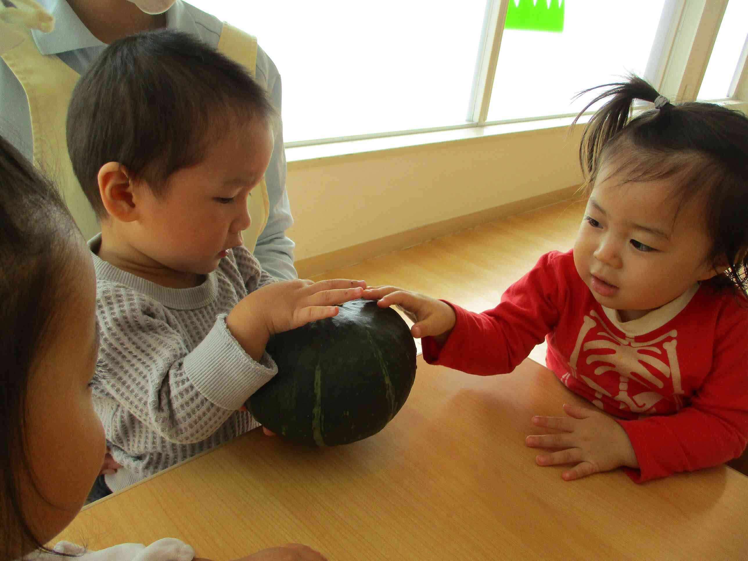 冷たいね、大きいね、重たそうだね