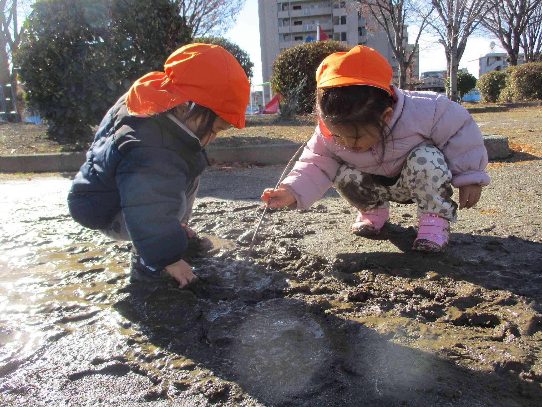 何がいるかな～