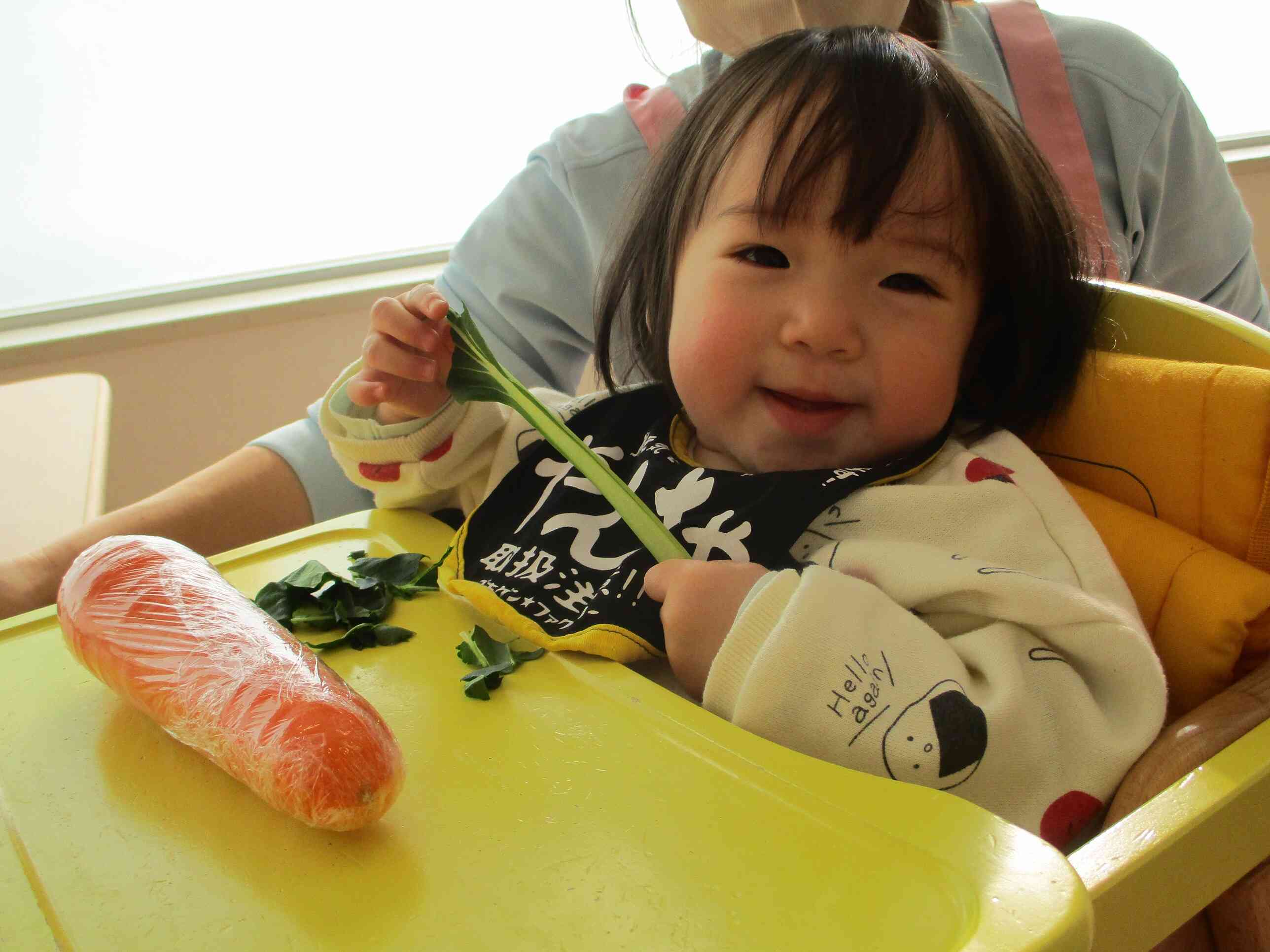 食育の冬野菜が気に入りました。小松菜をちぎって感触を楽しんで、ニッコリでした。