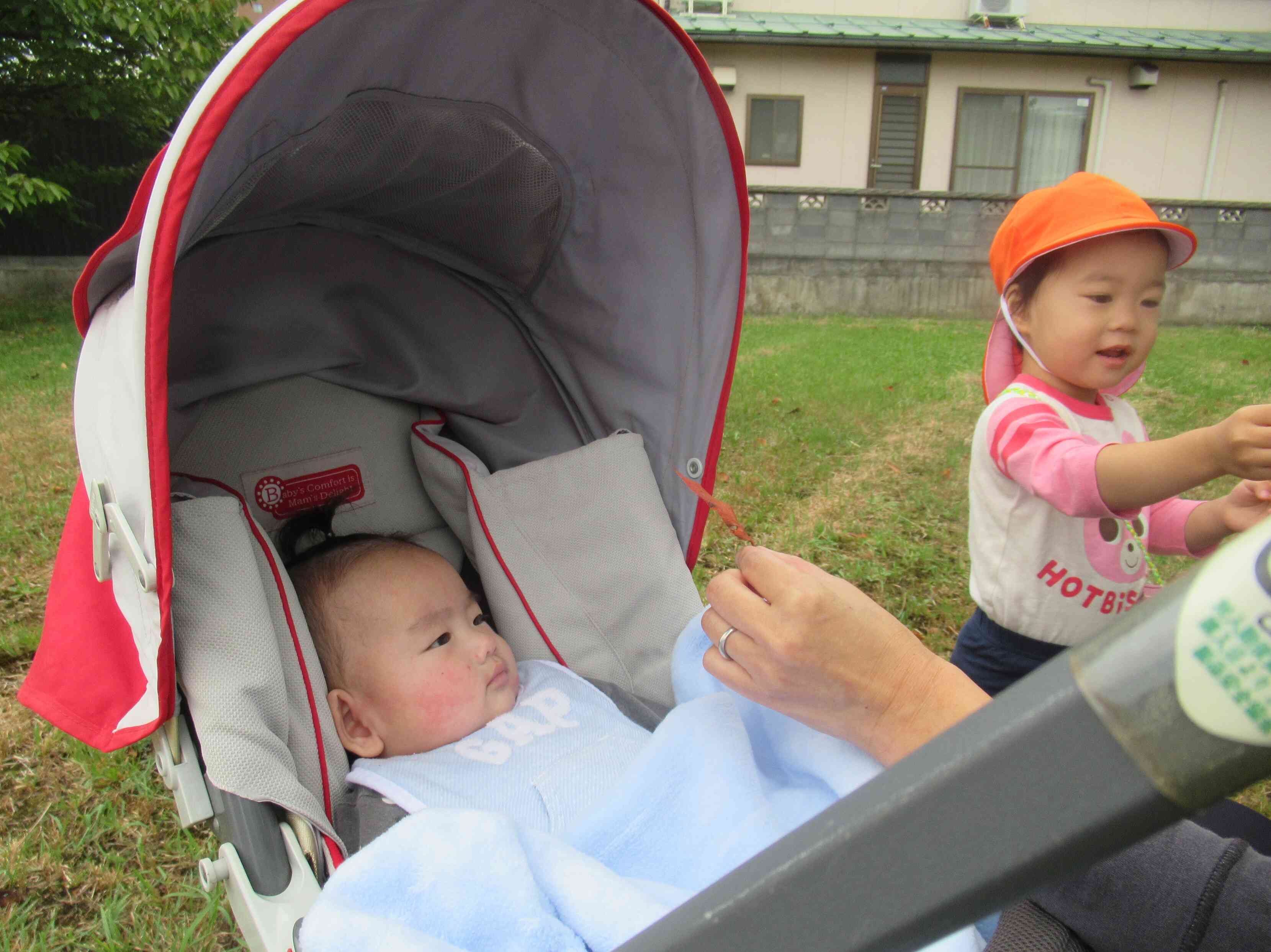 ひよこ組（0歳児）のMくんは初めての園外保育でした。じーっと色づいた葉っぱを見ていますね。