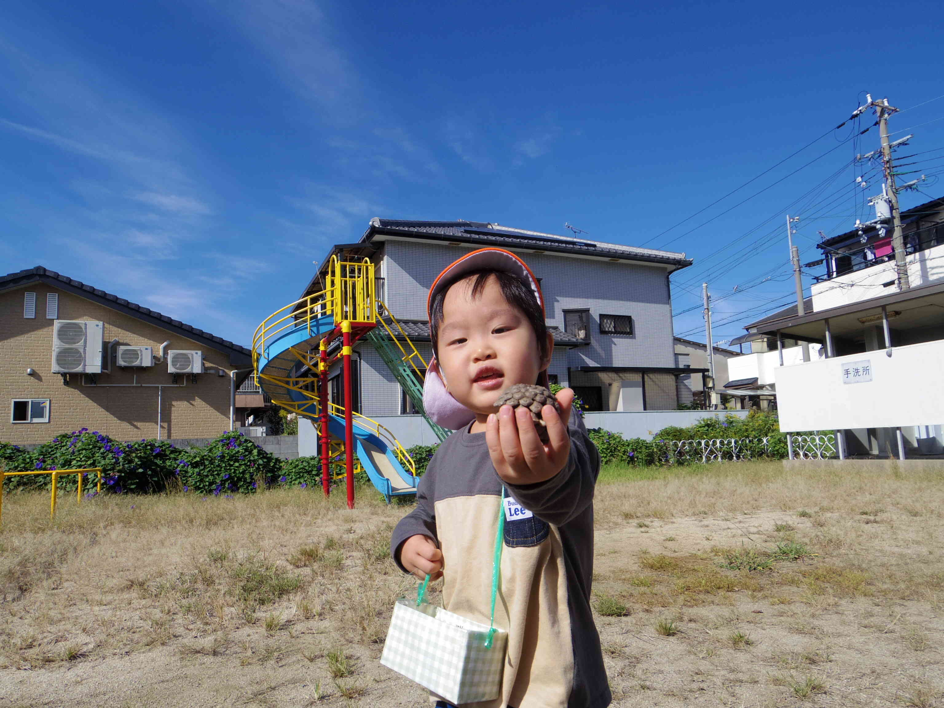 松ぼっくりみーつけた！