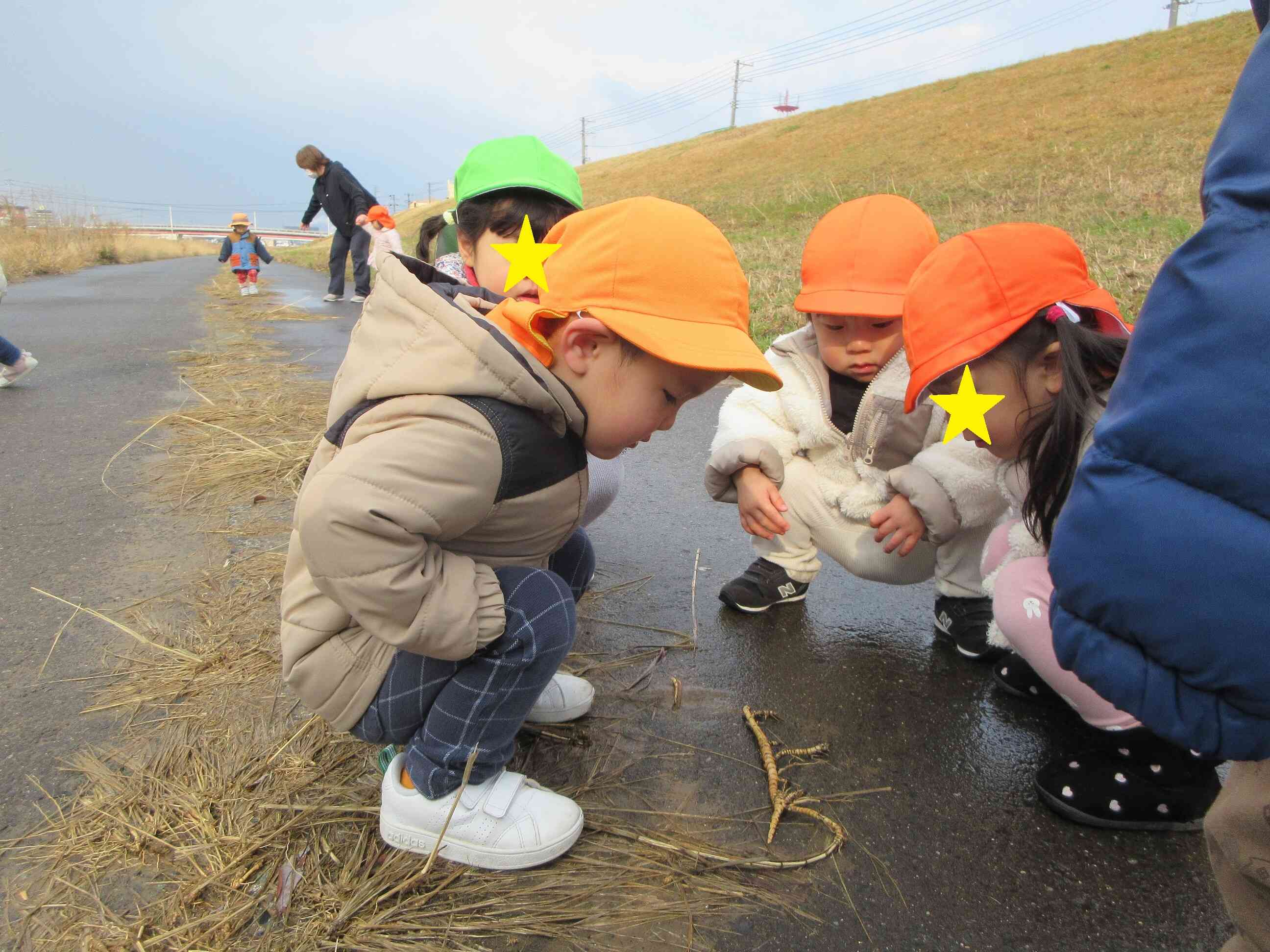 これはなんだろう・・・土手散歩は不思議がいっぱいです