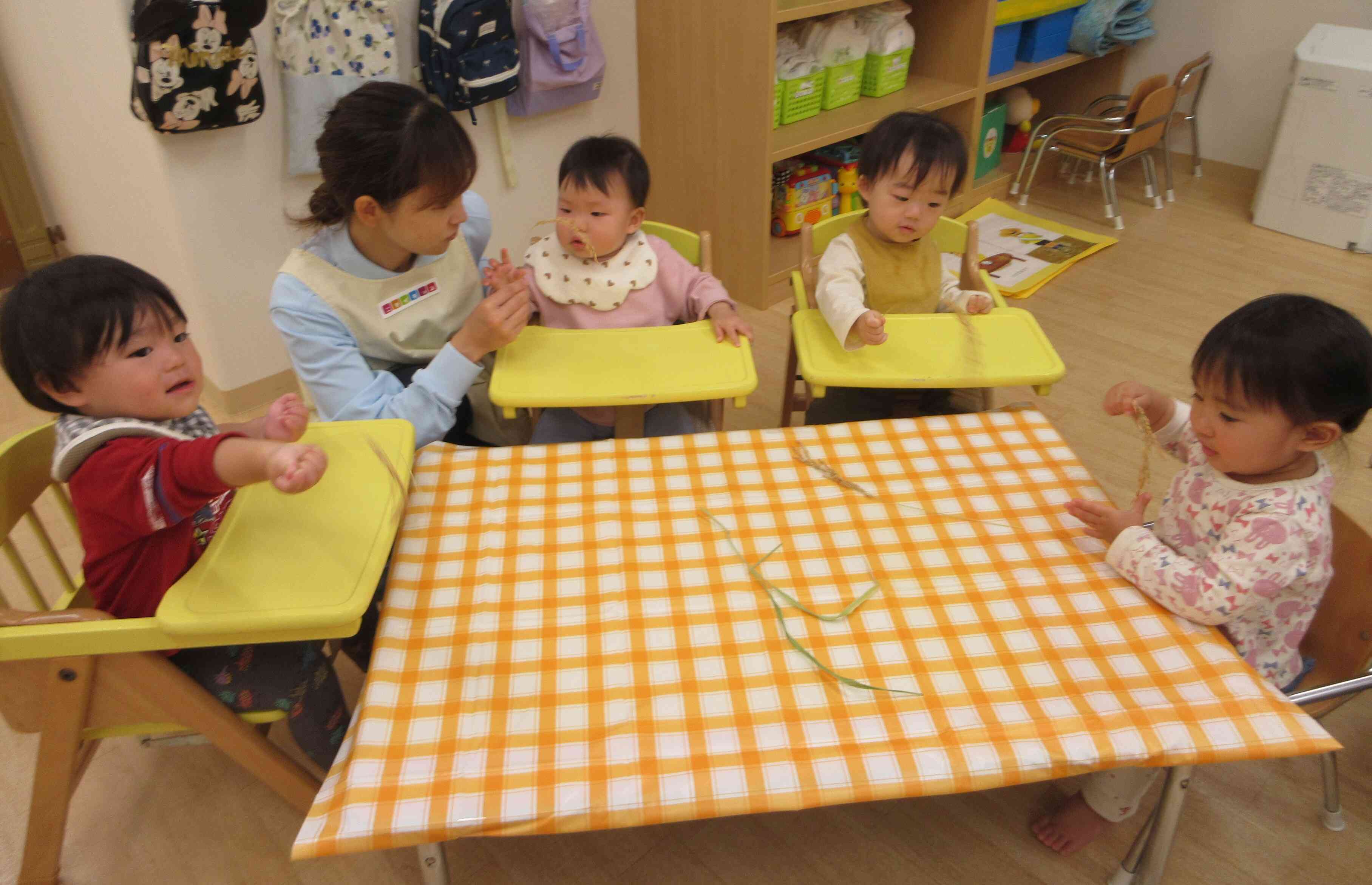 11月の食育活動