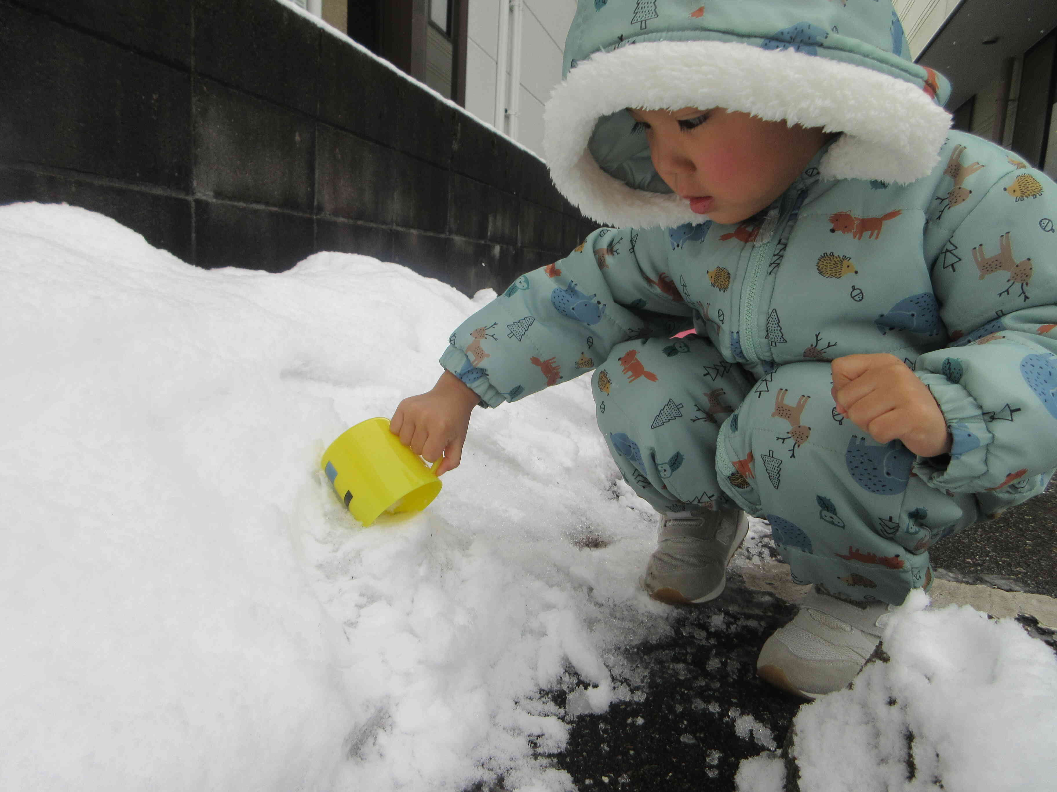 コップで雪をすくってみたよ！！